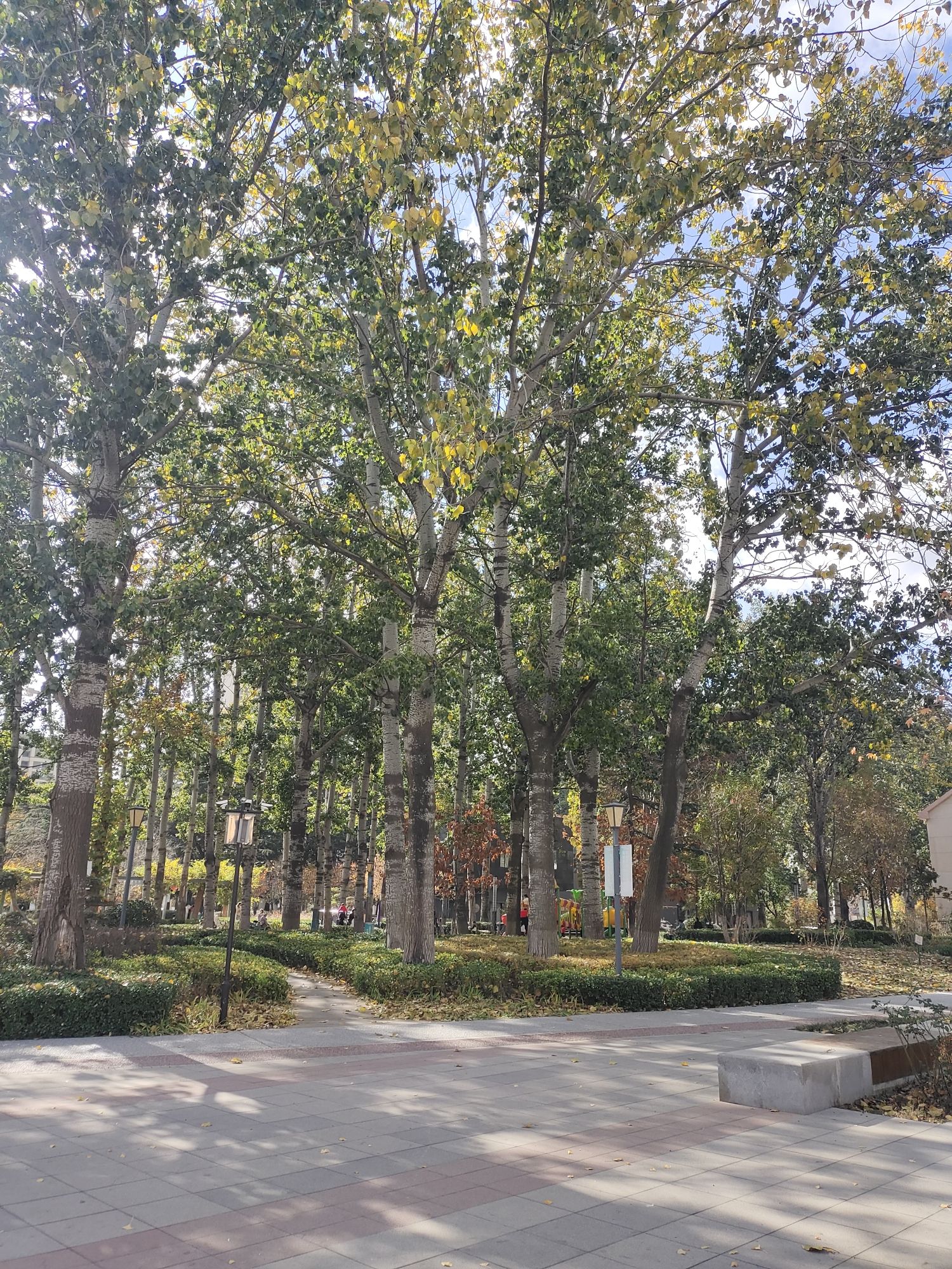 崇德公园旅行图片 2