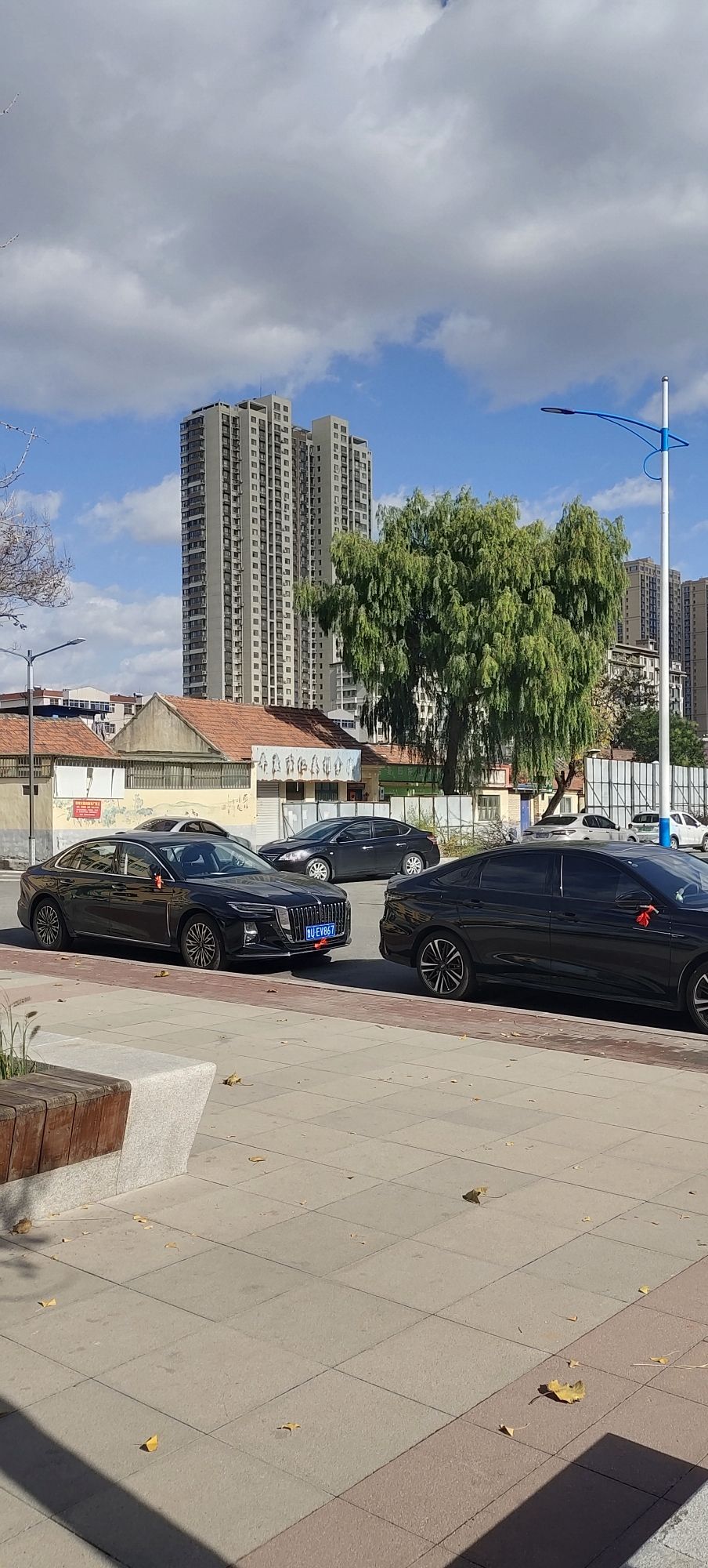 崇德公园旅行图片