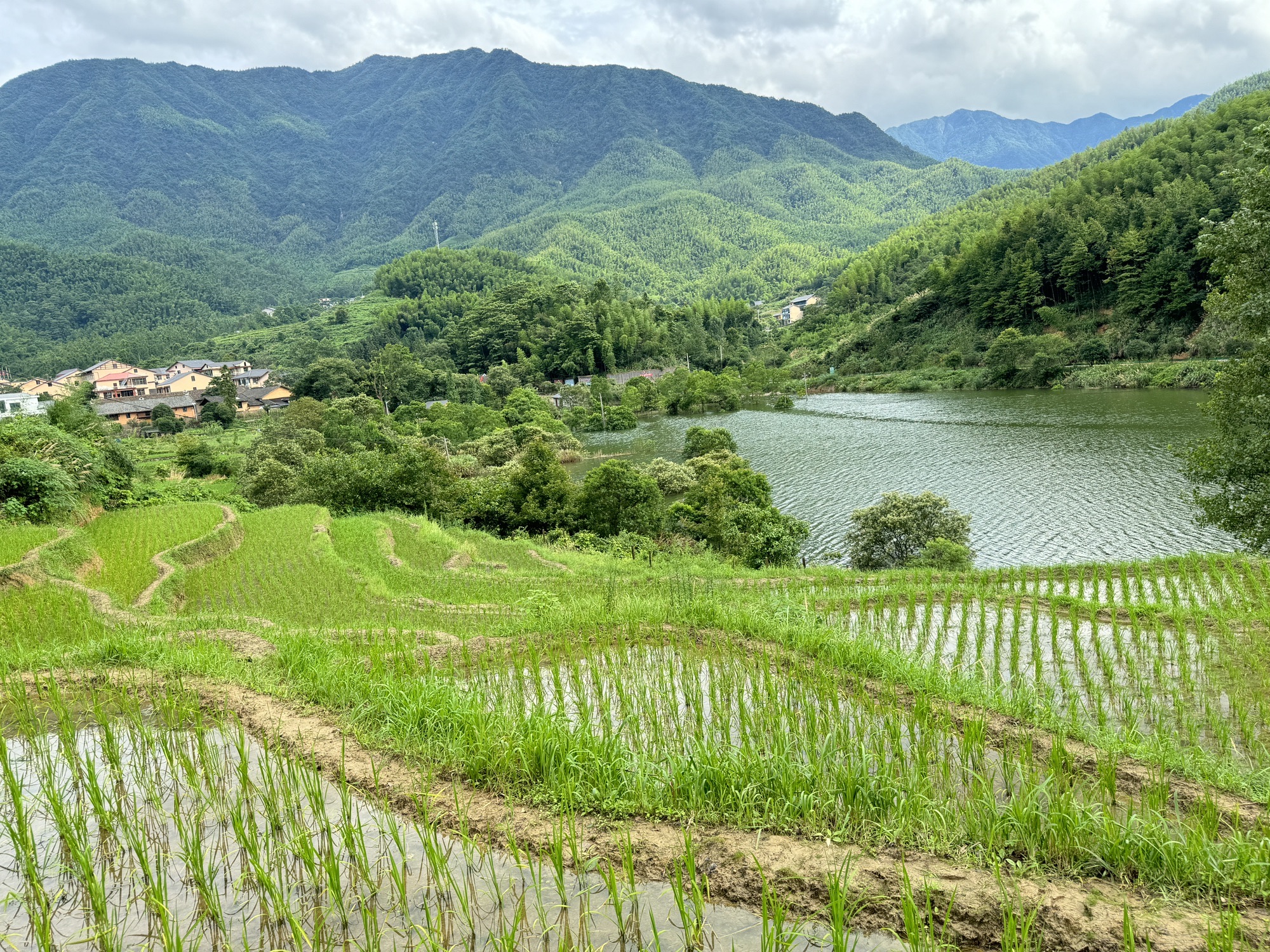水口乡村森林公园