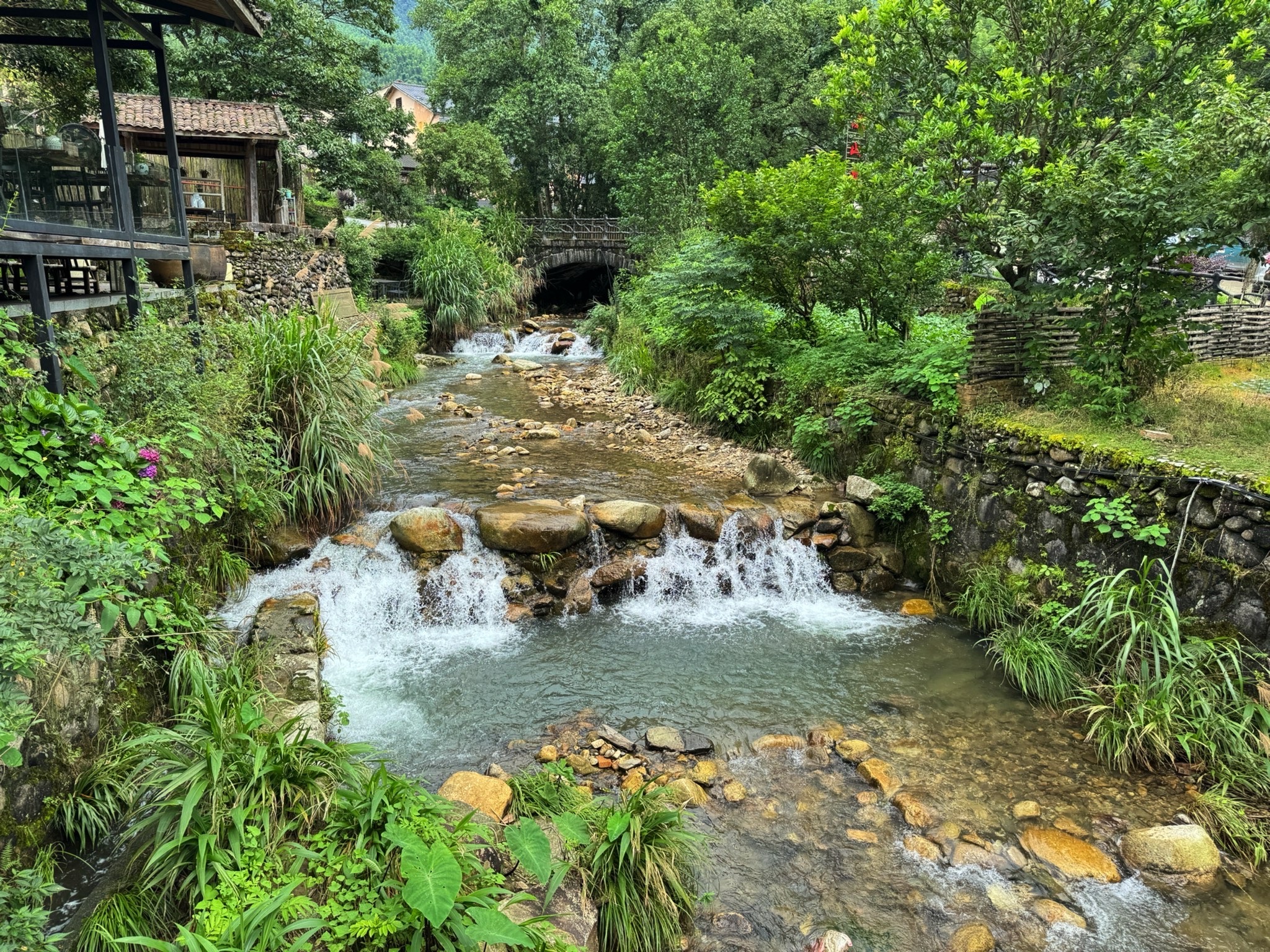 水口乡村森林公园旅行图片 1
