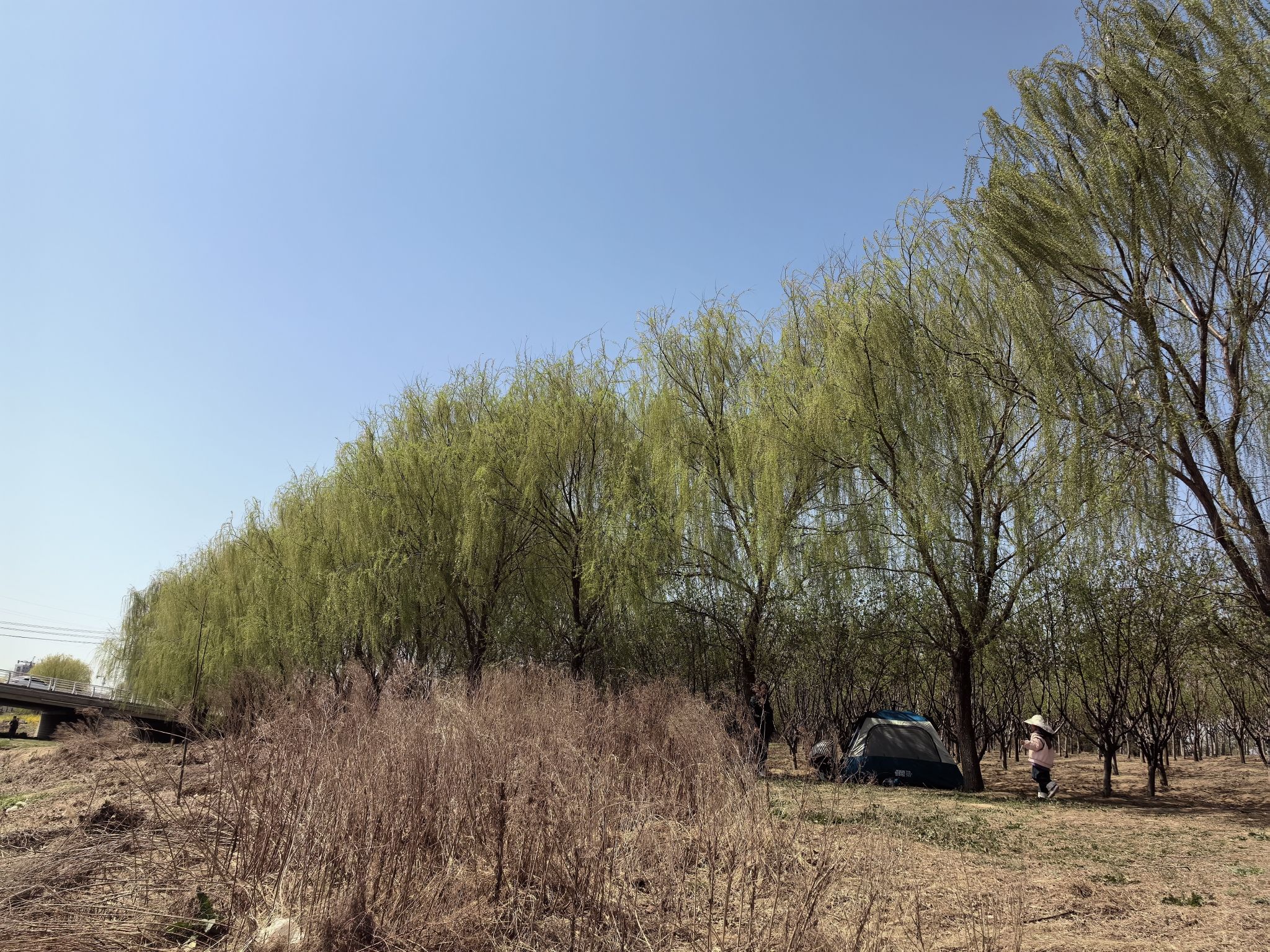 虞河运动公园旅行图片 1