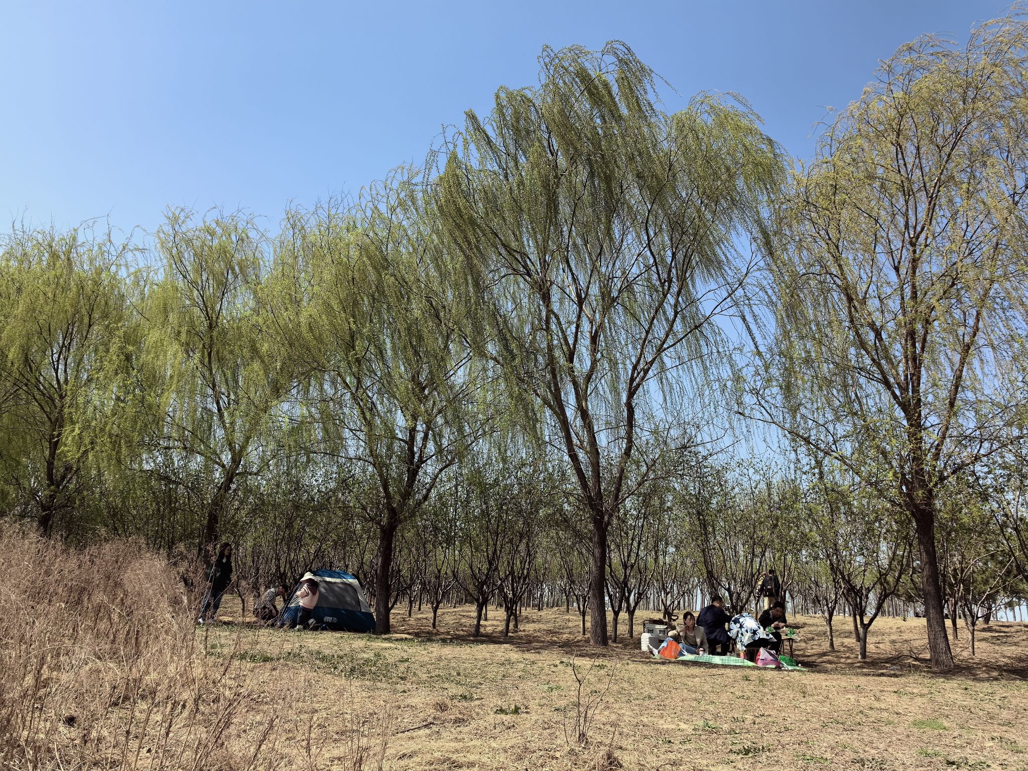 虞河运动公园旅行图片 3