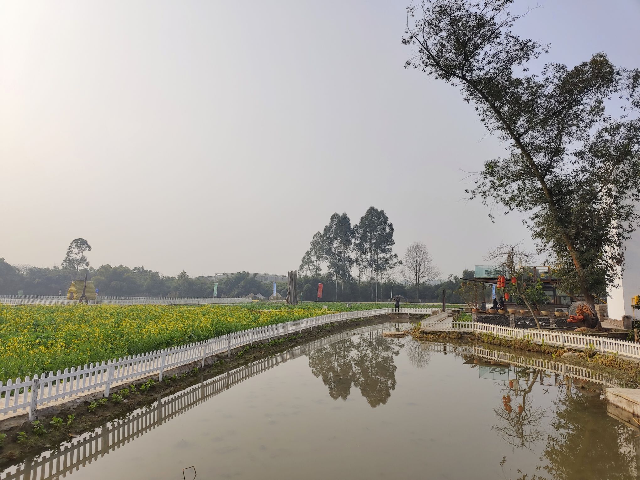 莲花穴艺术院落旅行图片 2