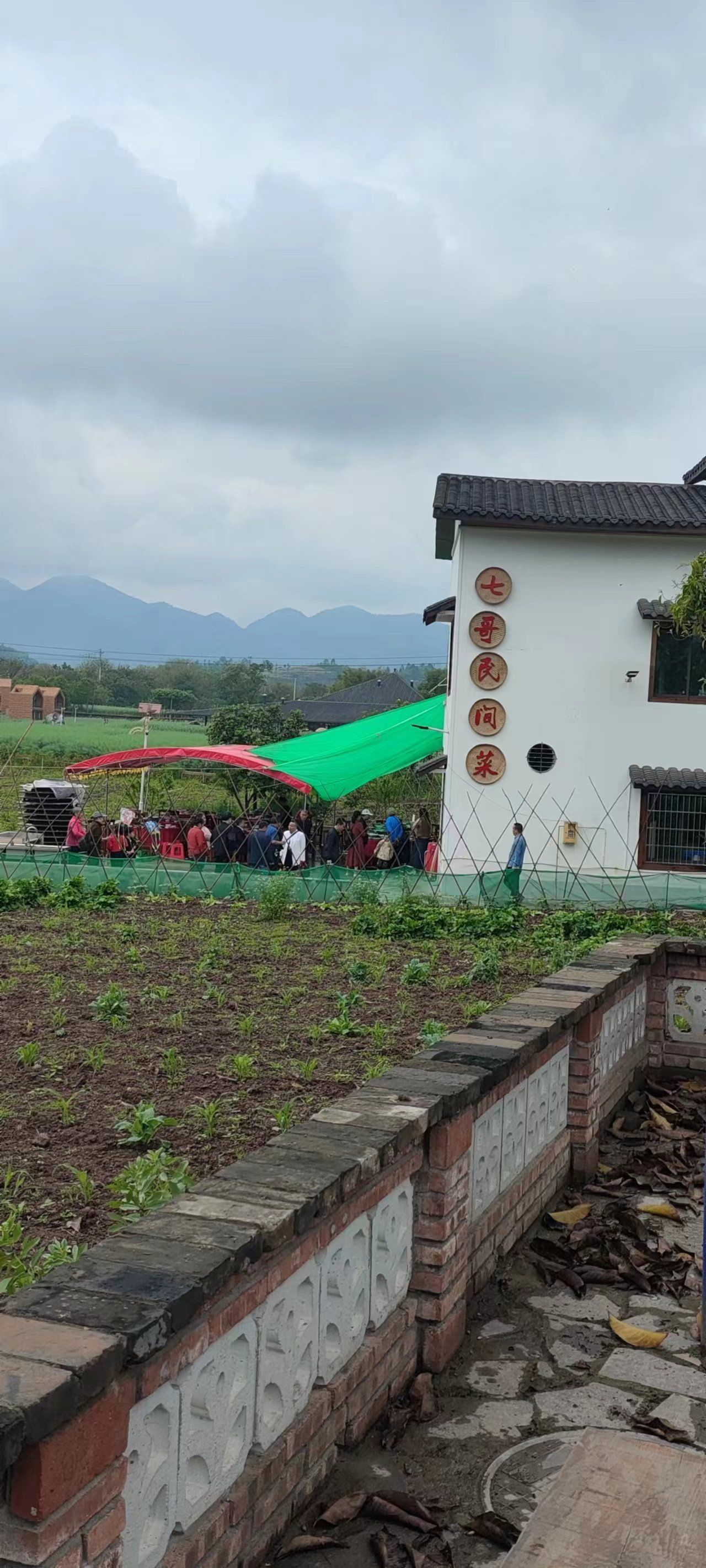 莲花穴艺术院落旅行图片 2