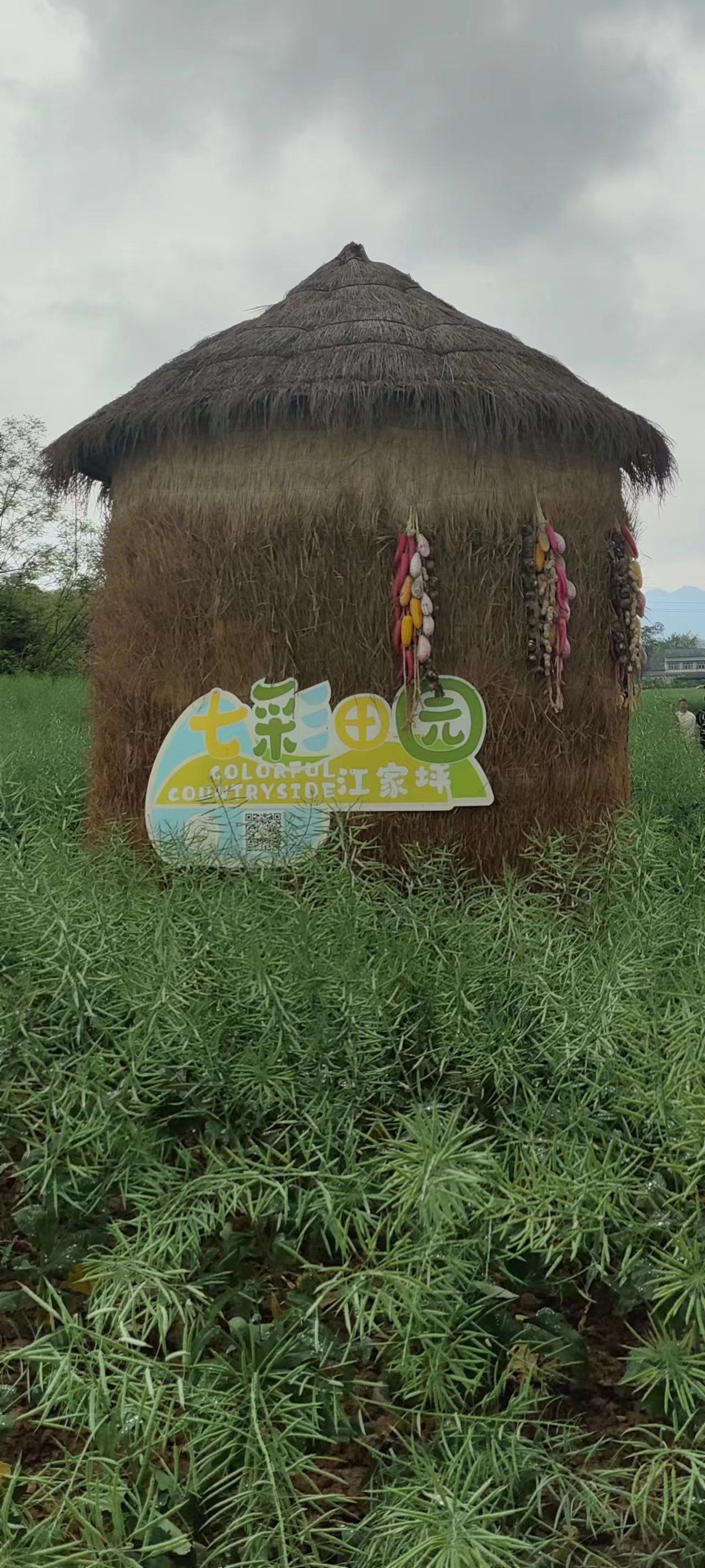 莲花穴艺术院落旅行图片 3