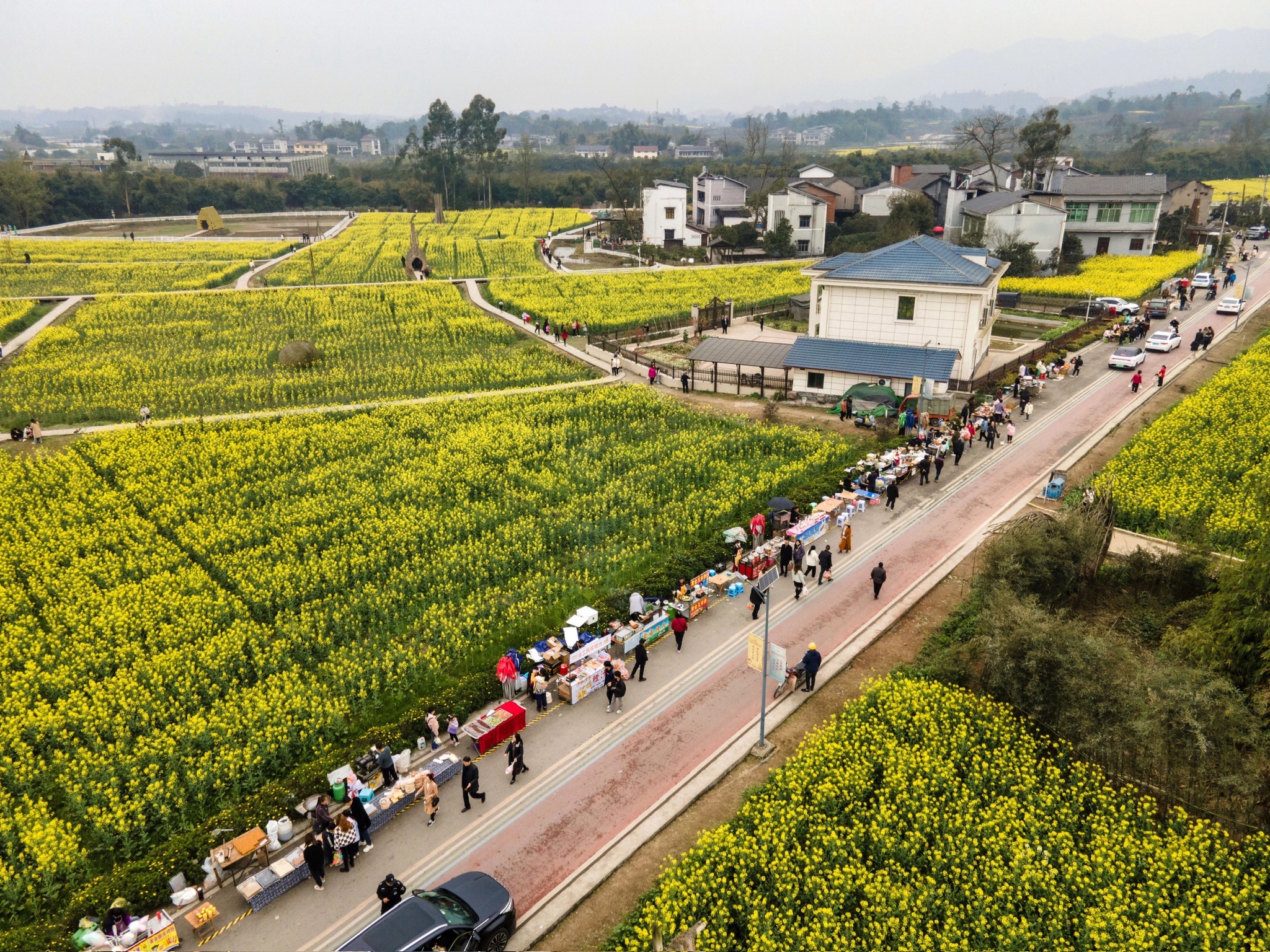 莲花穴艺术院落旅行图片 3