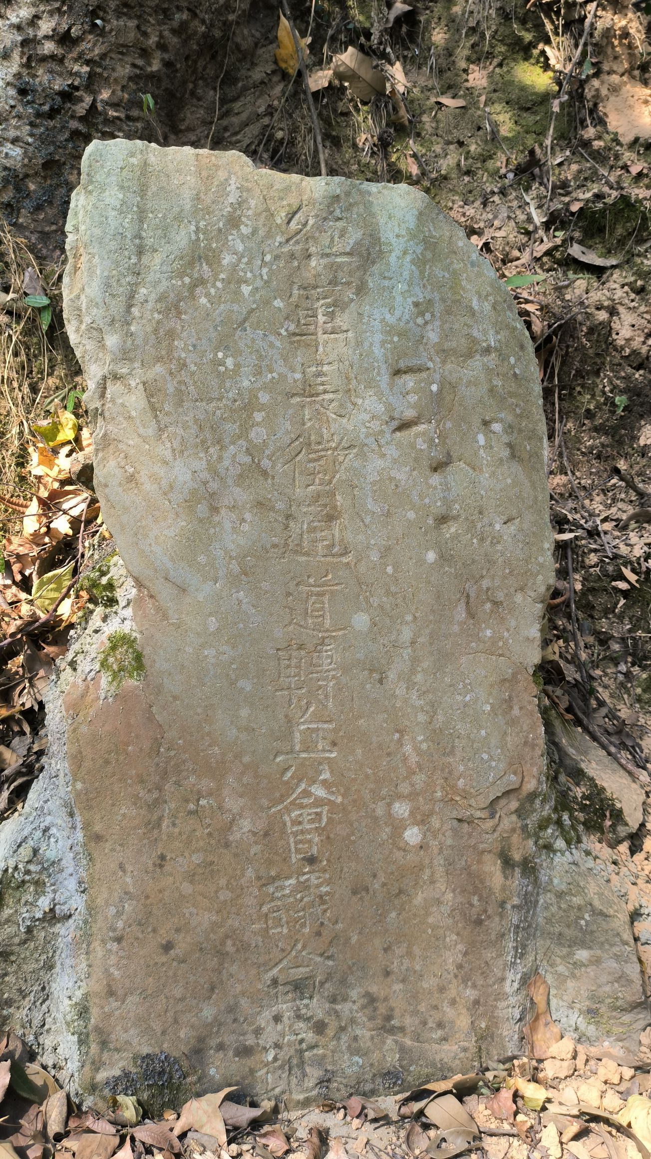 木林庵旅行图片 1