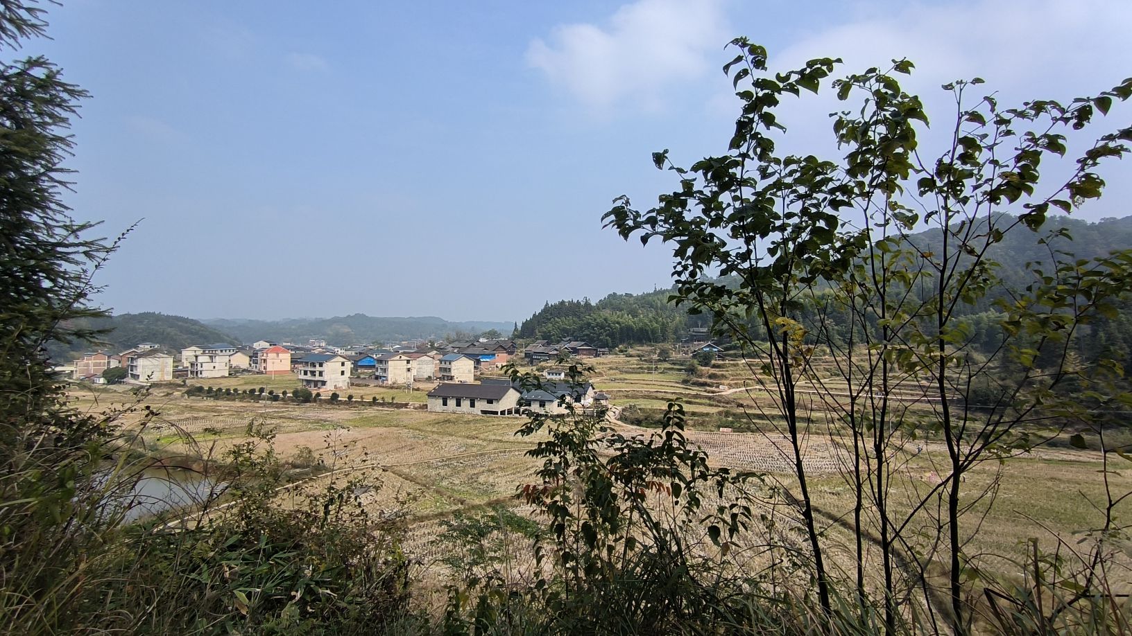 木林庵旅行图片 3