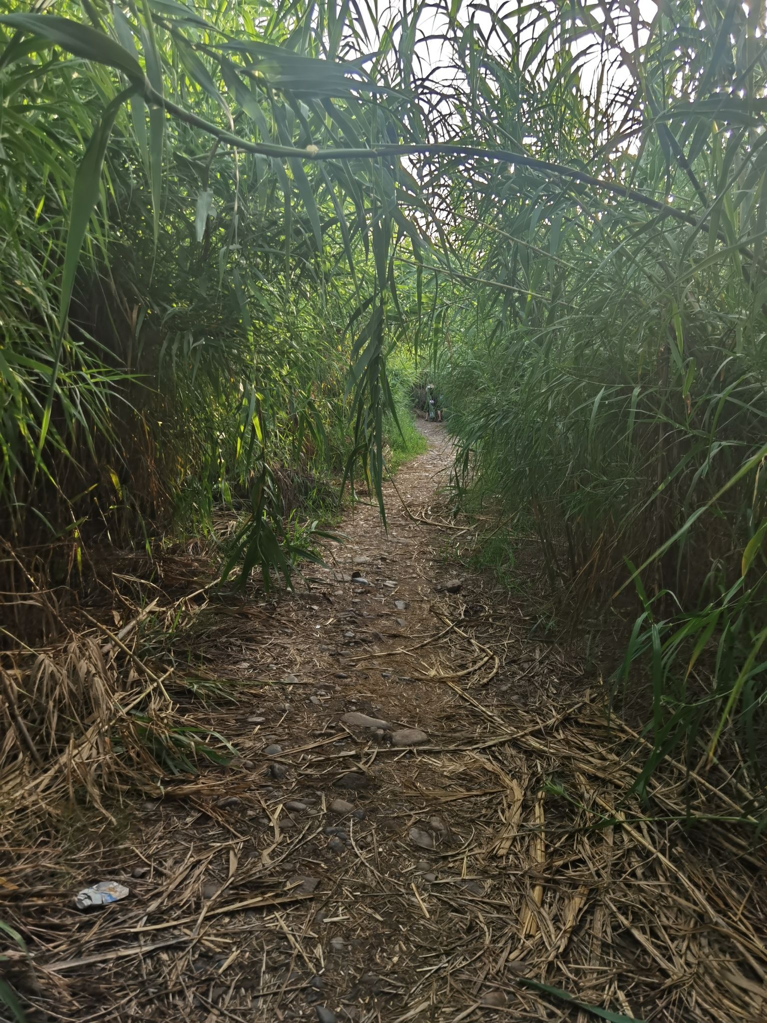 郏县北汝河湿地公园旅行图片 2