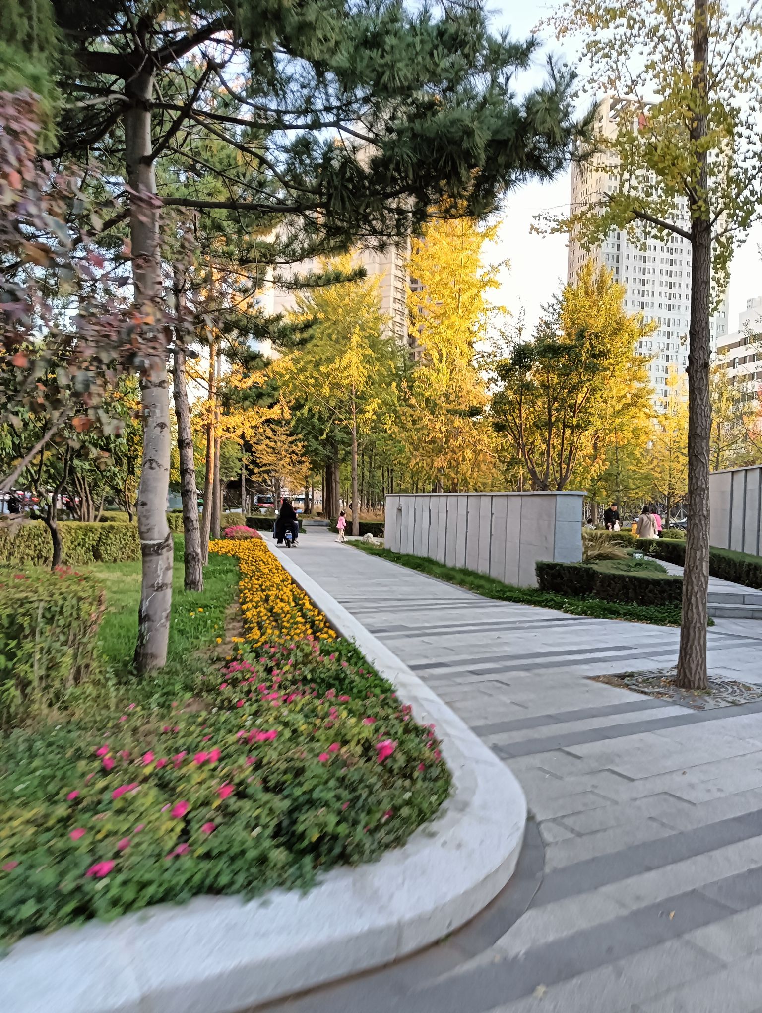 大西边门公园旅行图片 2