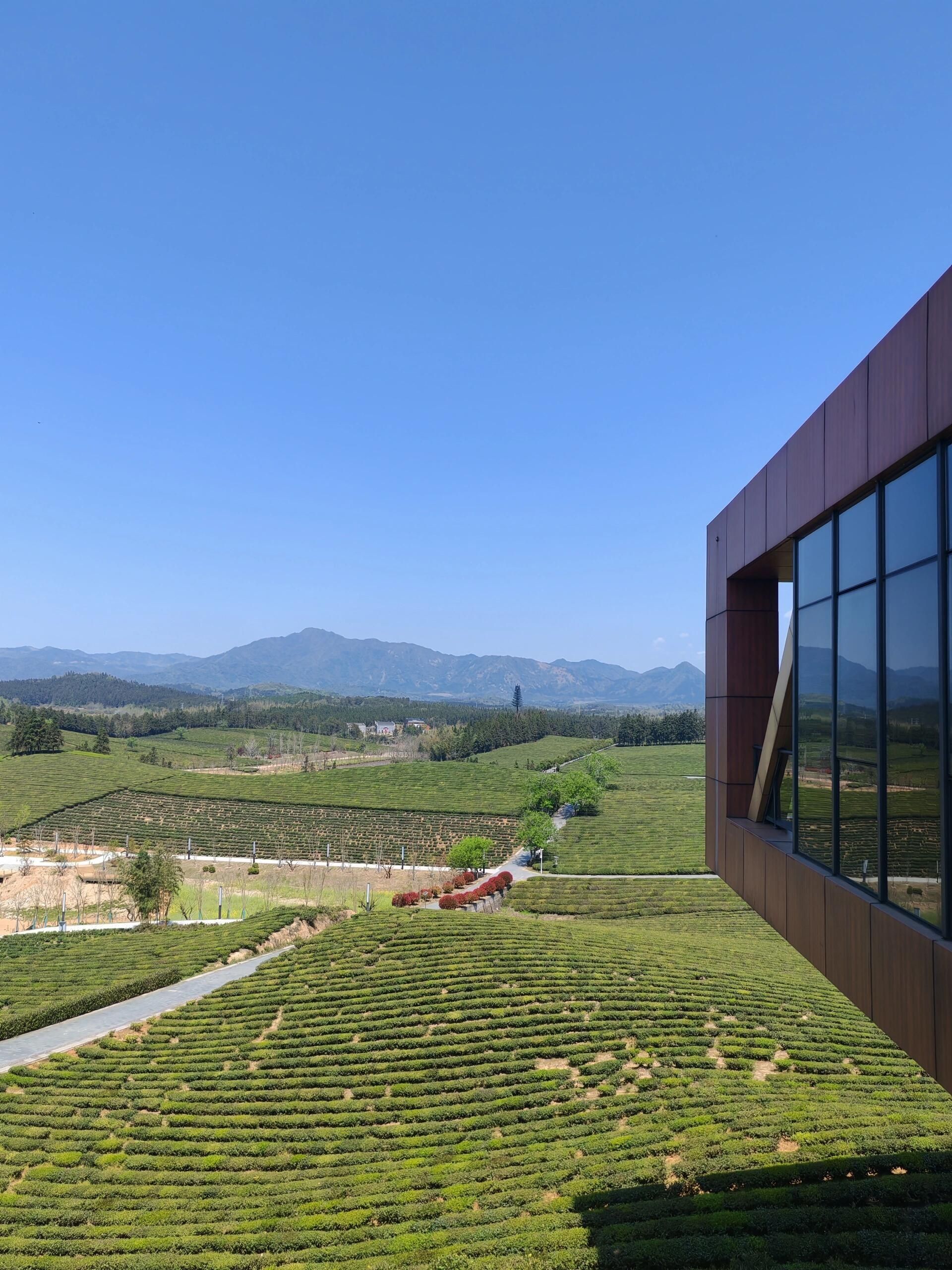 高岭文化村旅行图片 1