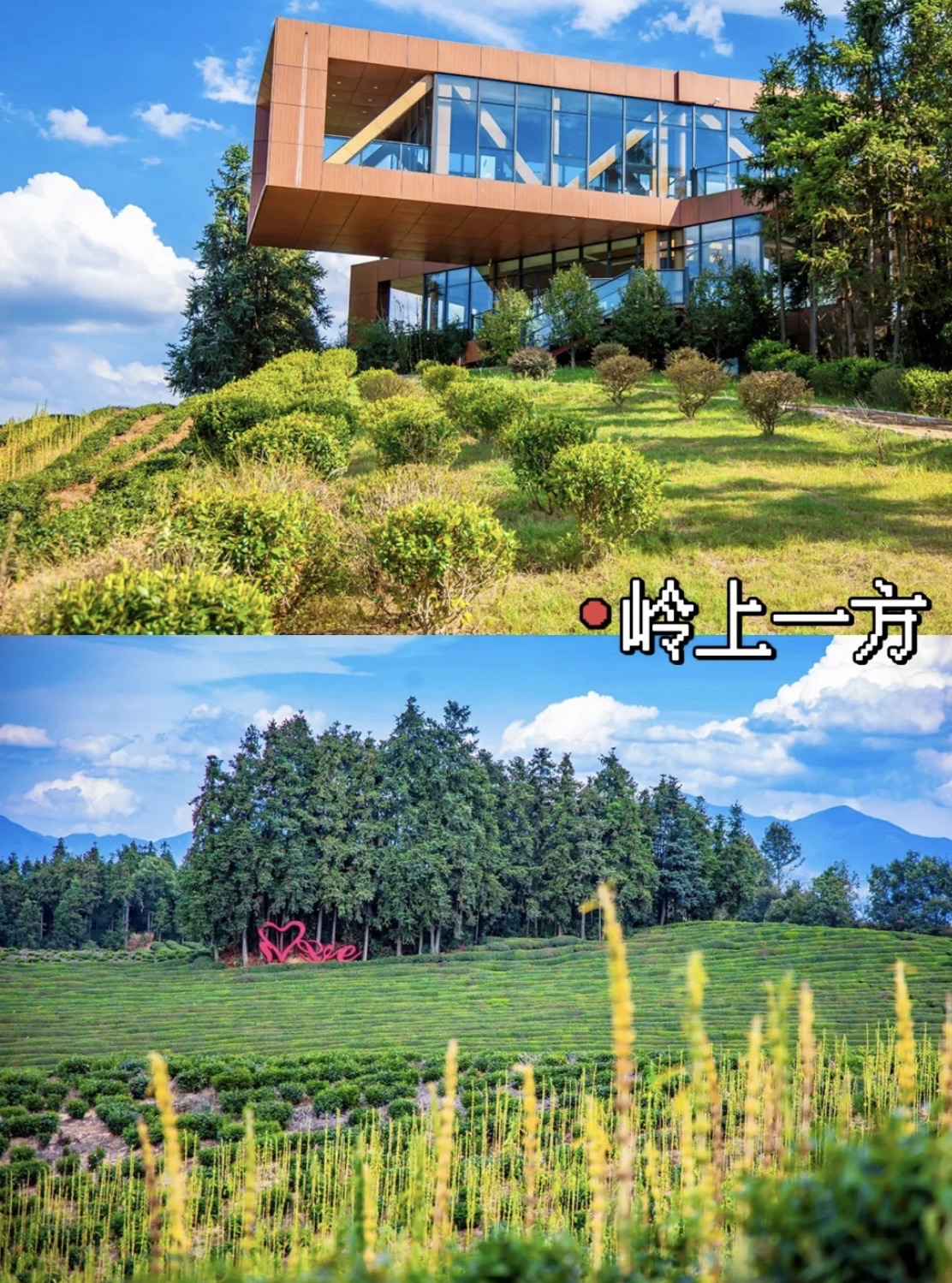 高岭文化村旅行图片 2
