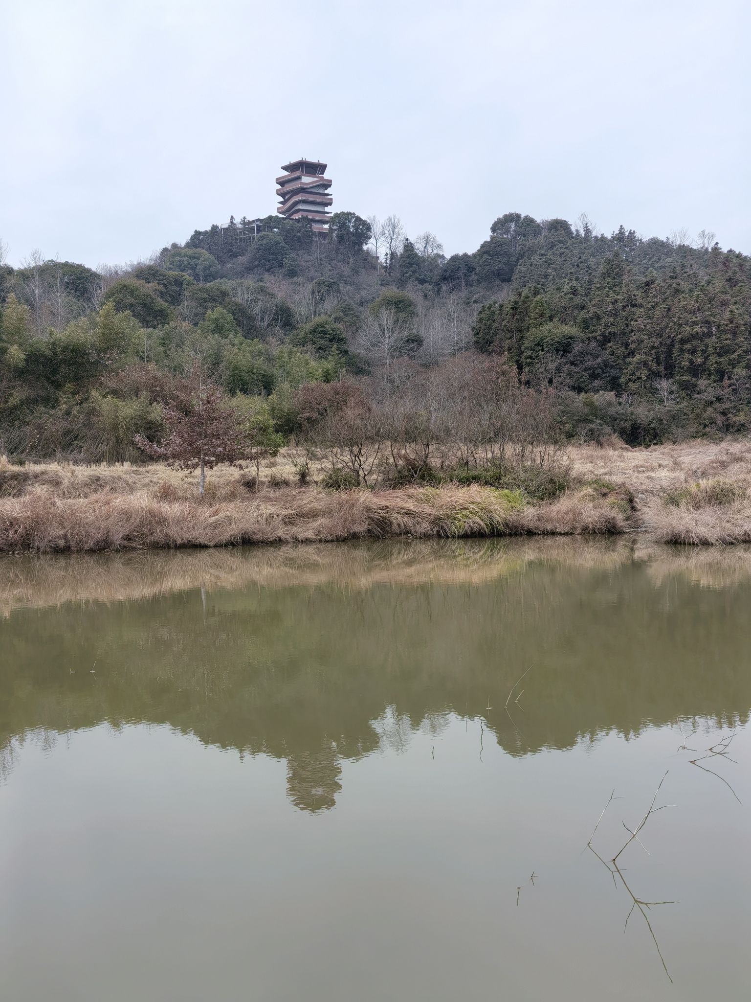 高岭文化村旅行图片 1