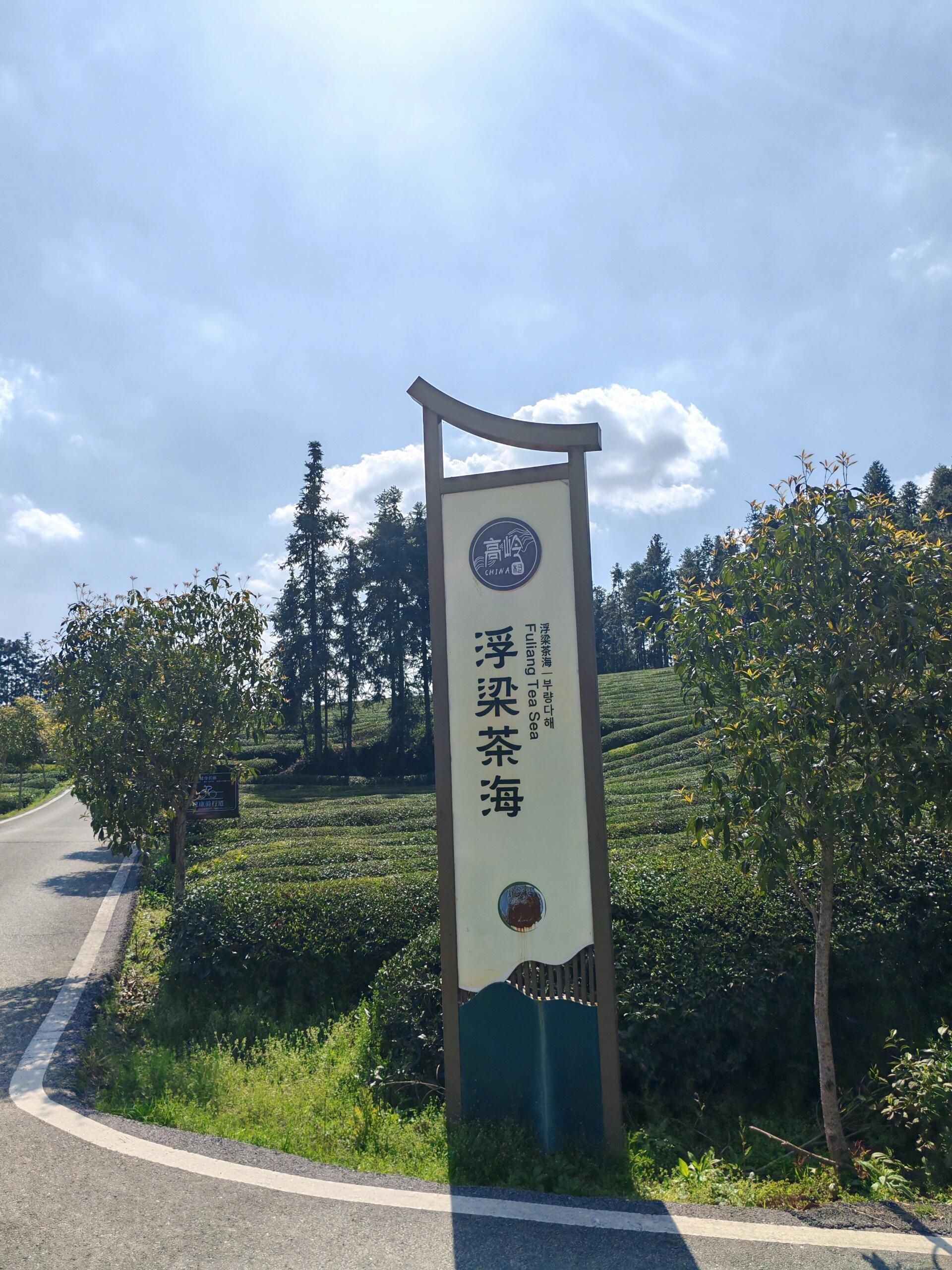 高岭文化村旅行图片 3