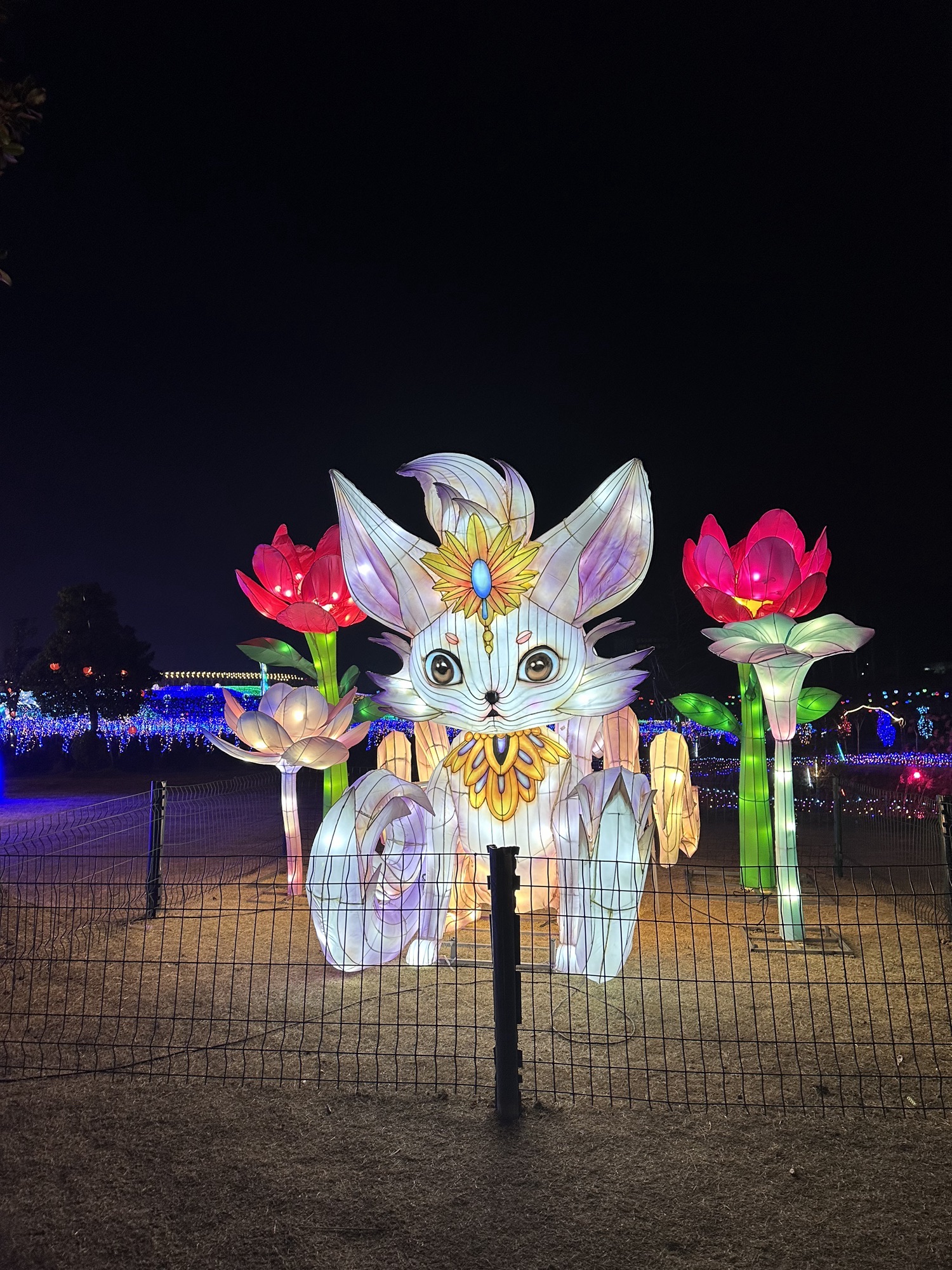 桃花源记旅行图片 3