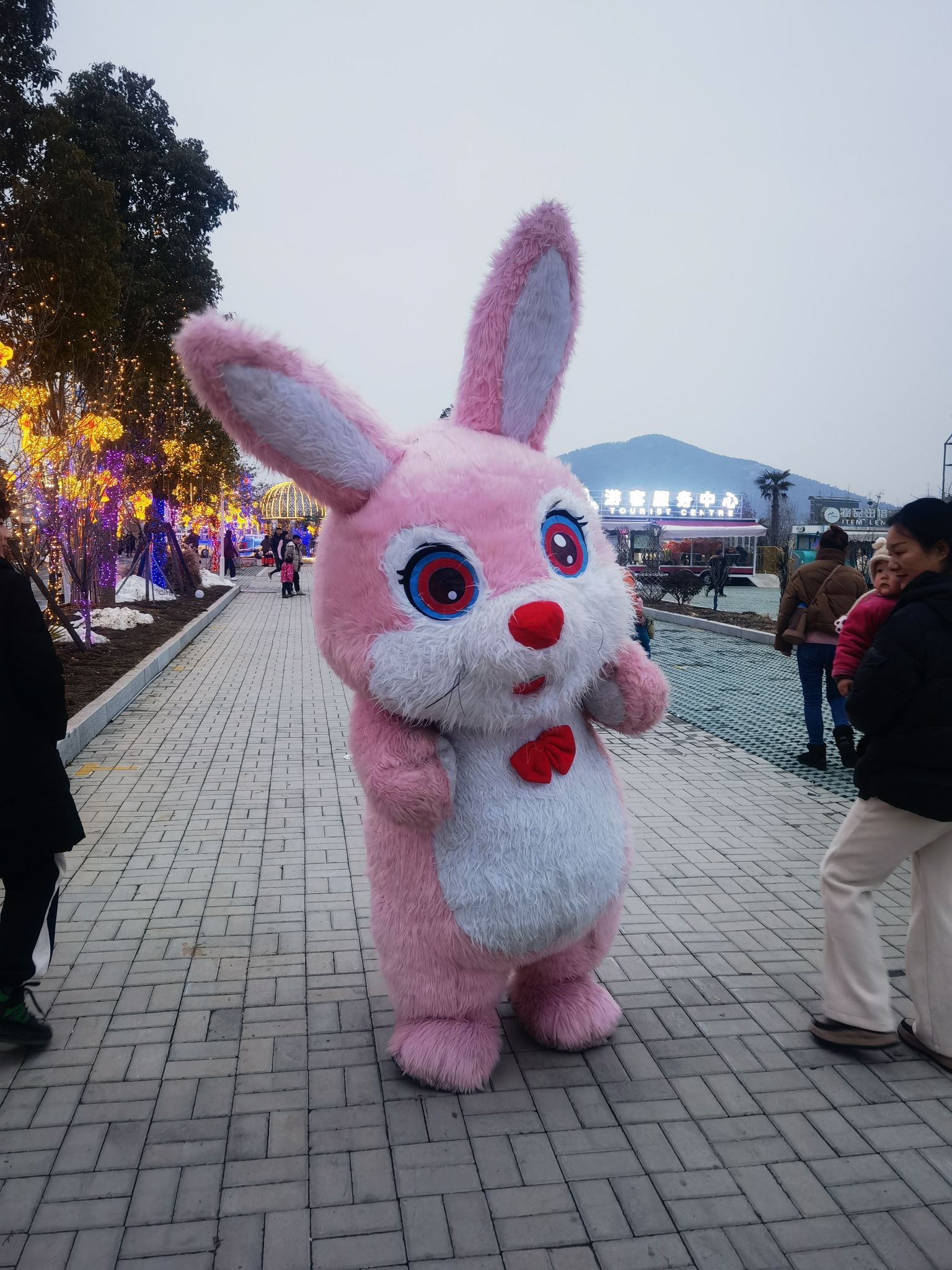 桃花源记旅行图片 3
