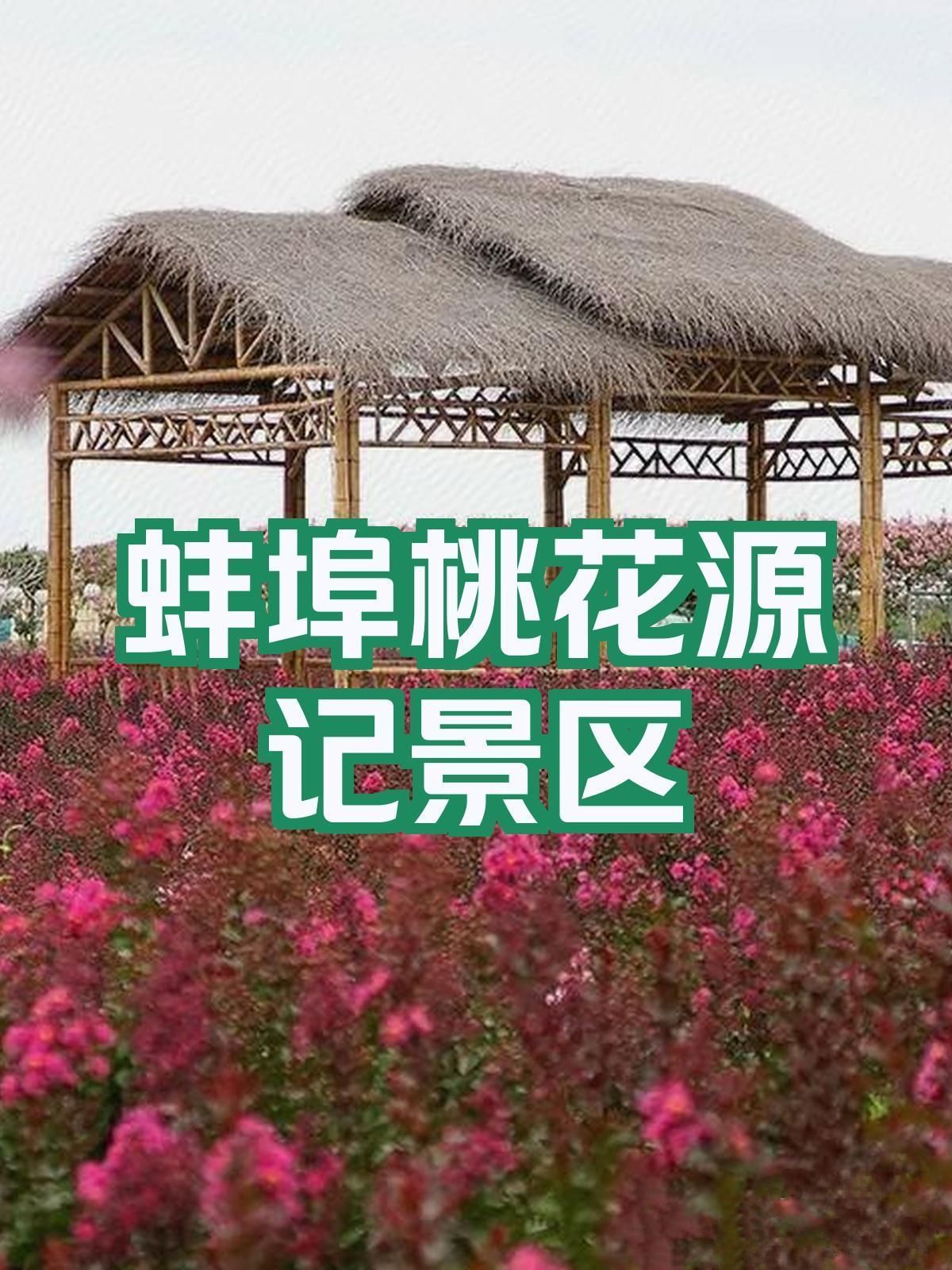 桃花源记旅行图片 1