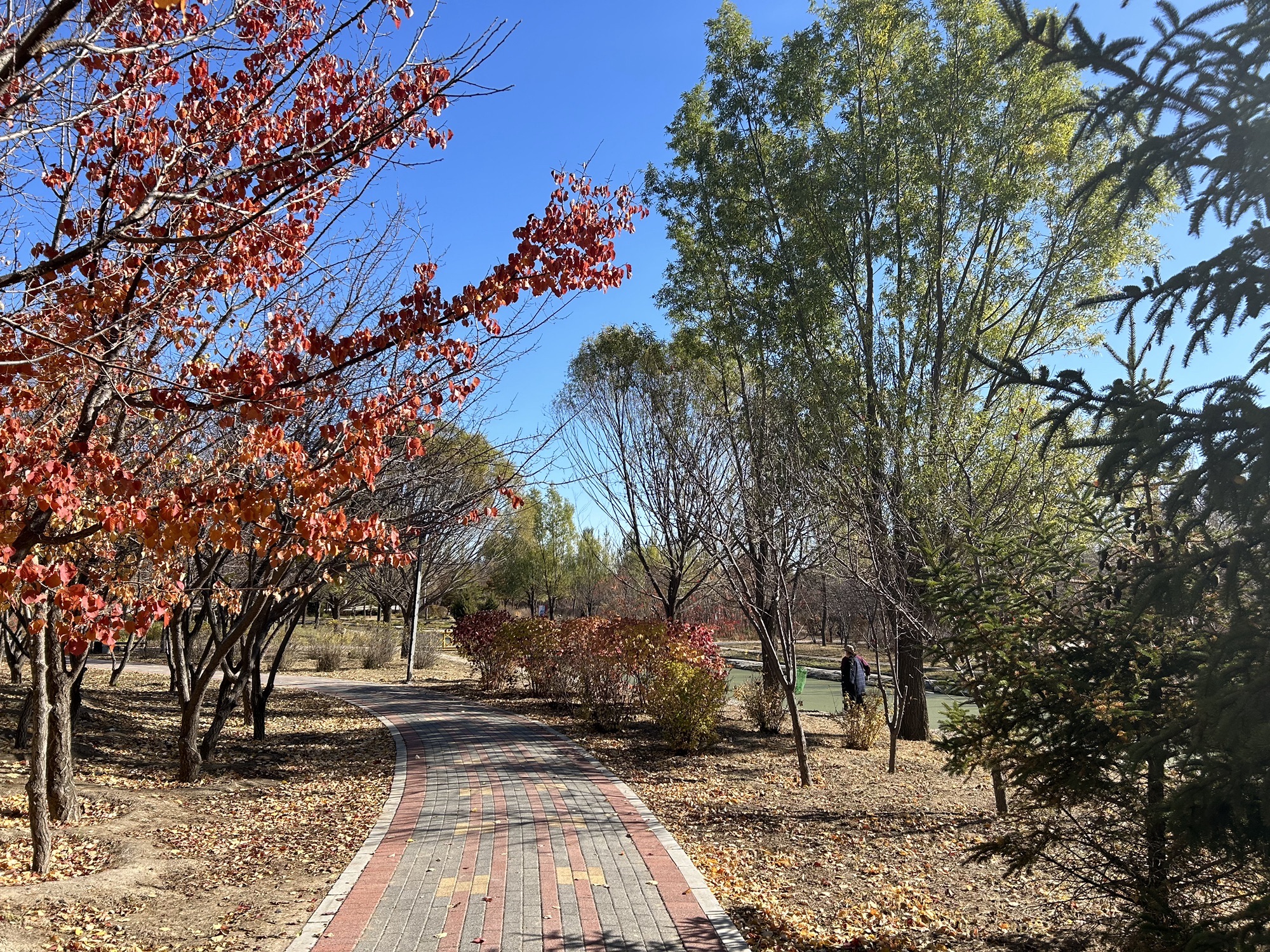 河边公园旅行图片 2