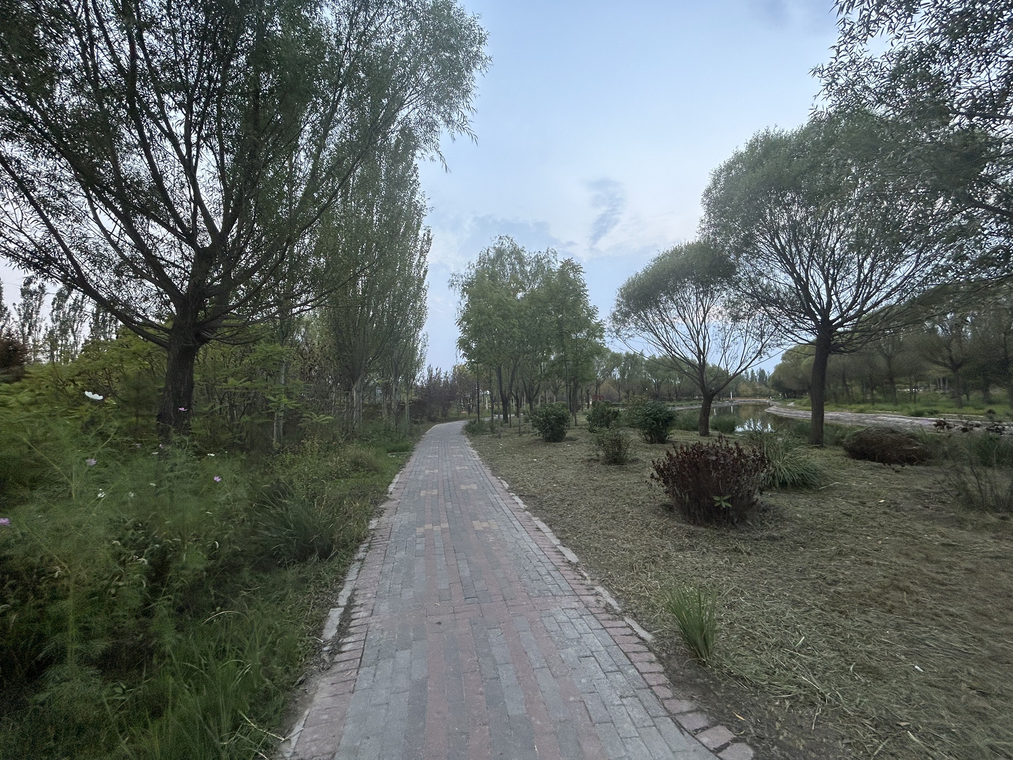 河边公园