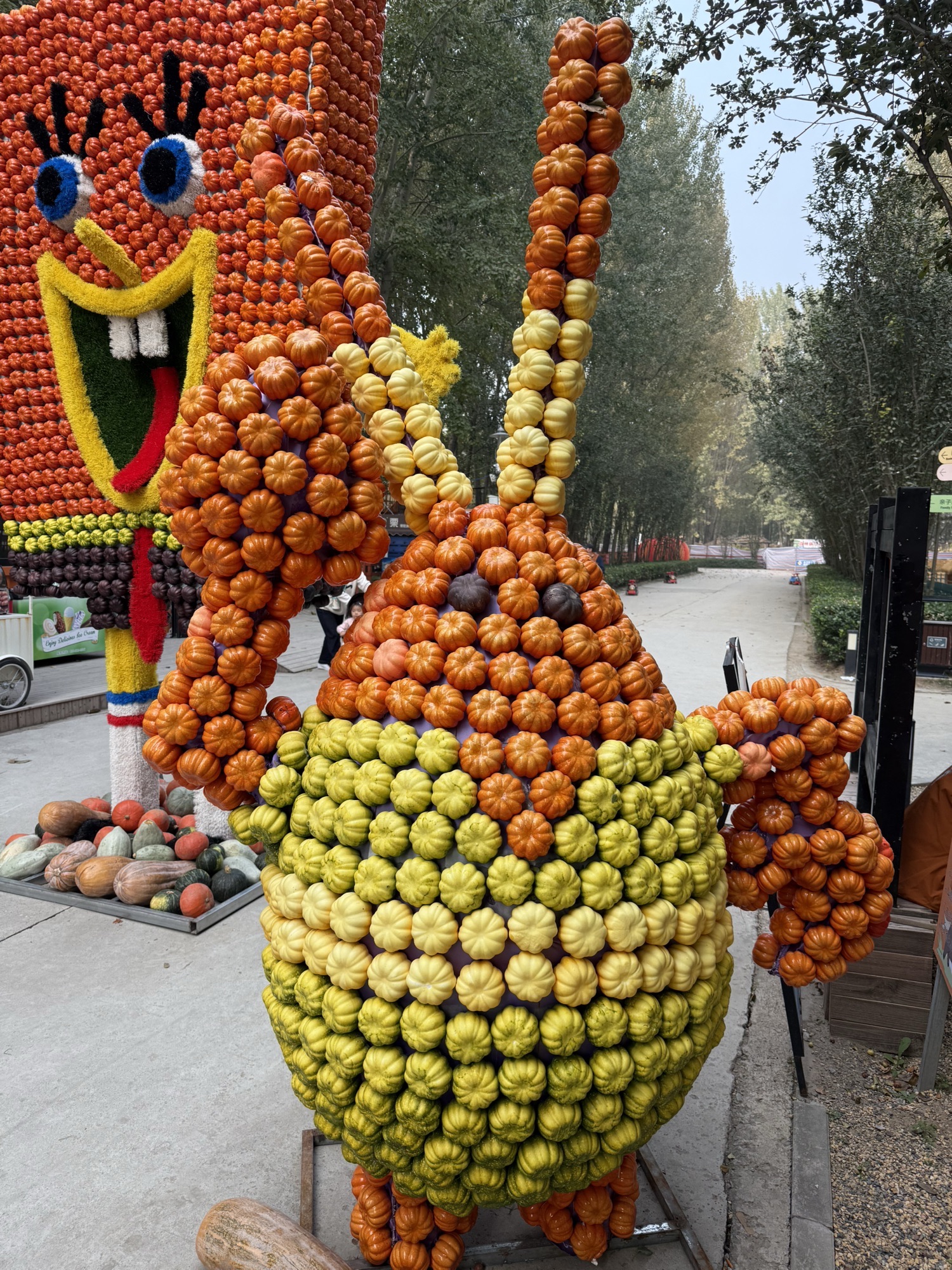 顺义虎乐园旅行图片 1