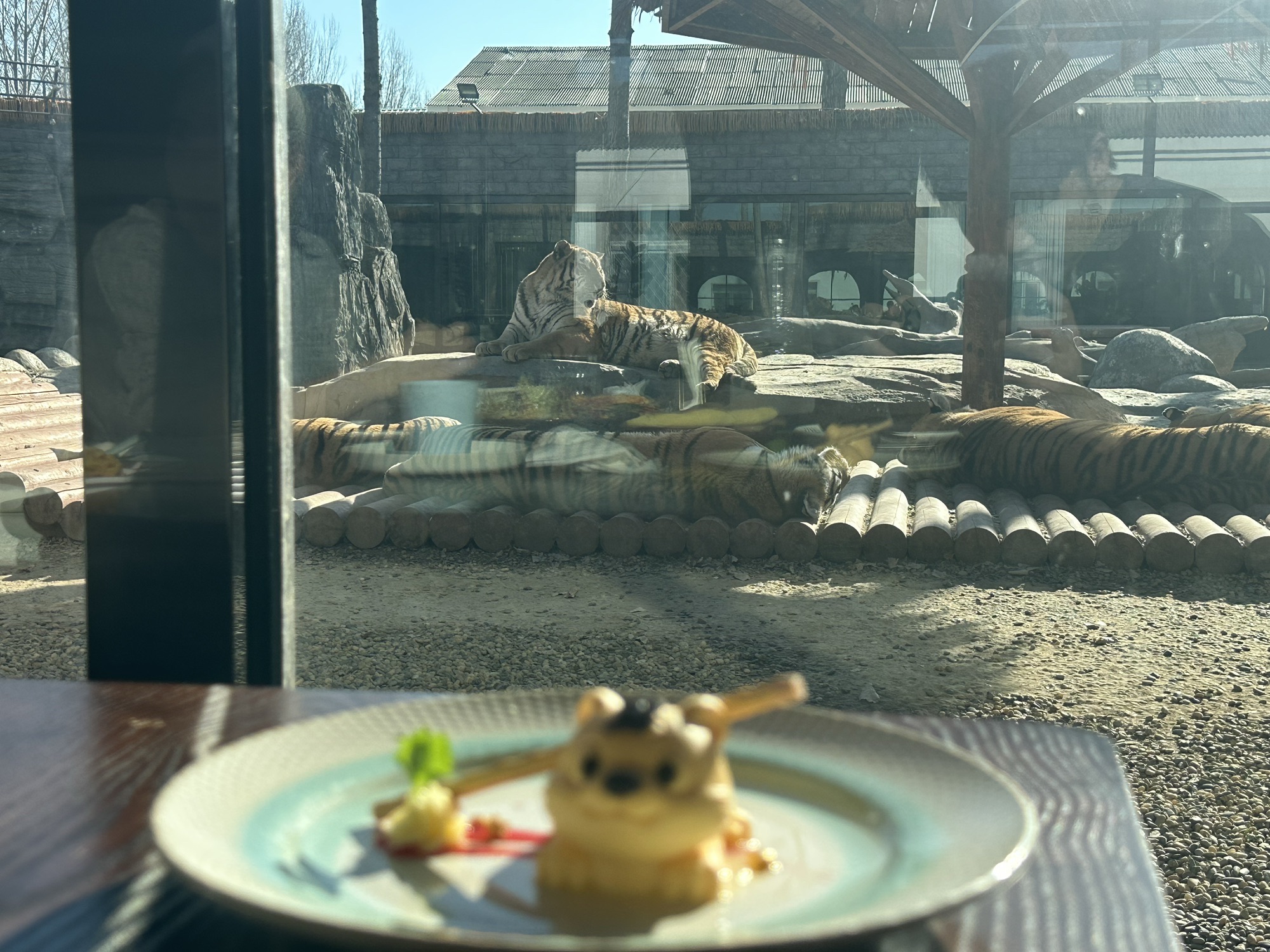 顺义虎乐园旅行图片 3