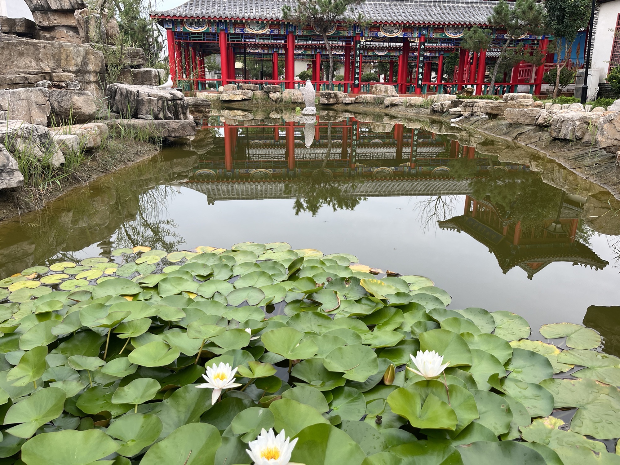 红高粱文化大院旅行图片 2