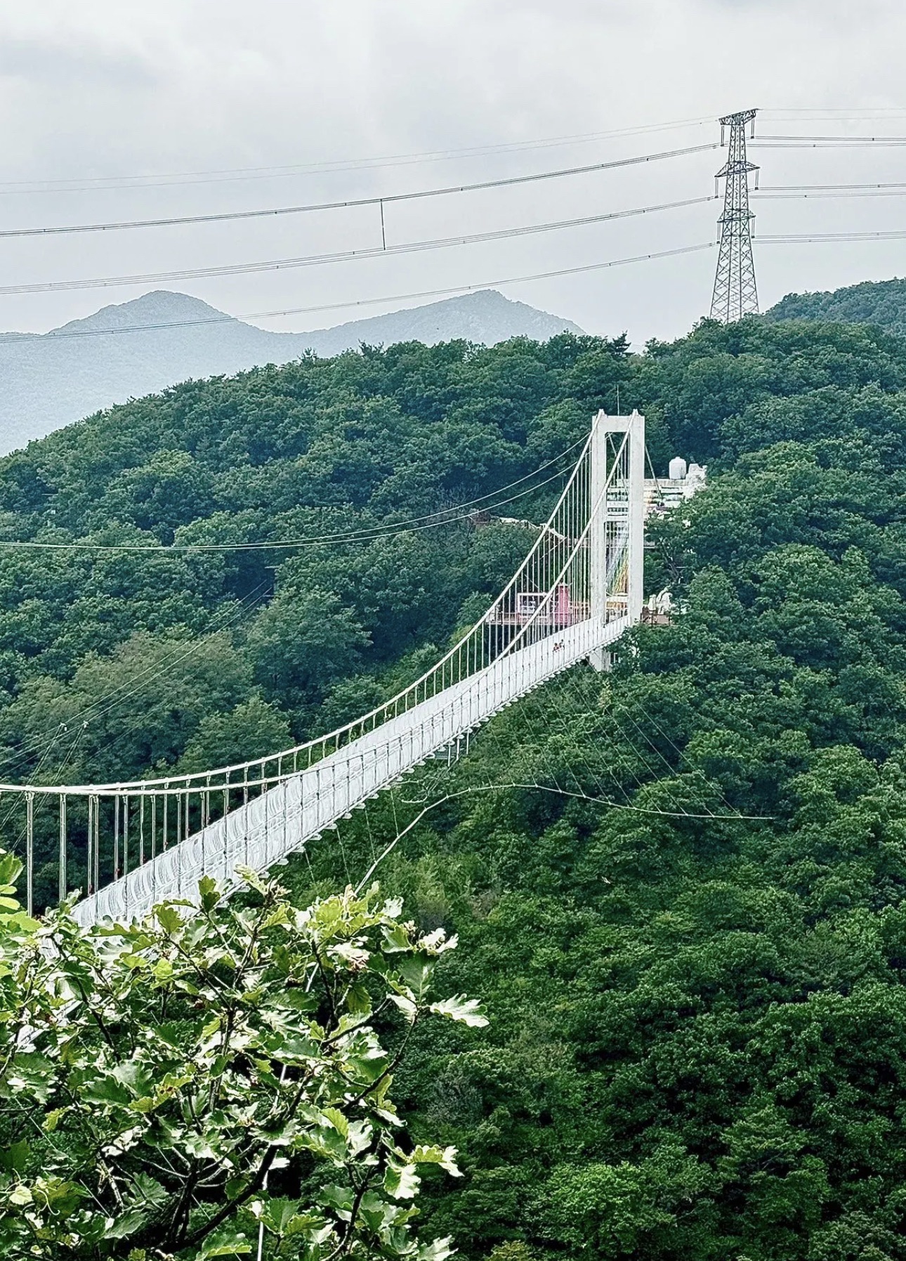 棠梨沟村景区旅行图片 1