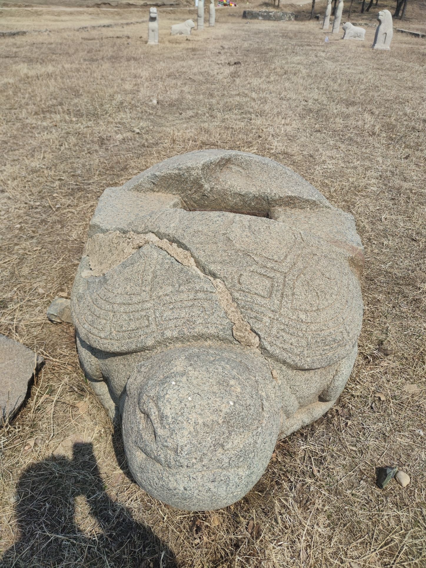 完颜娄室墓旅行图片 1