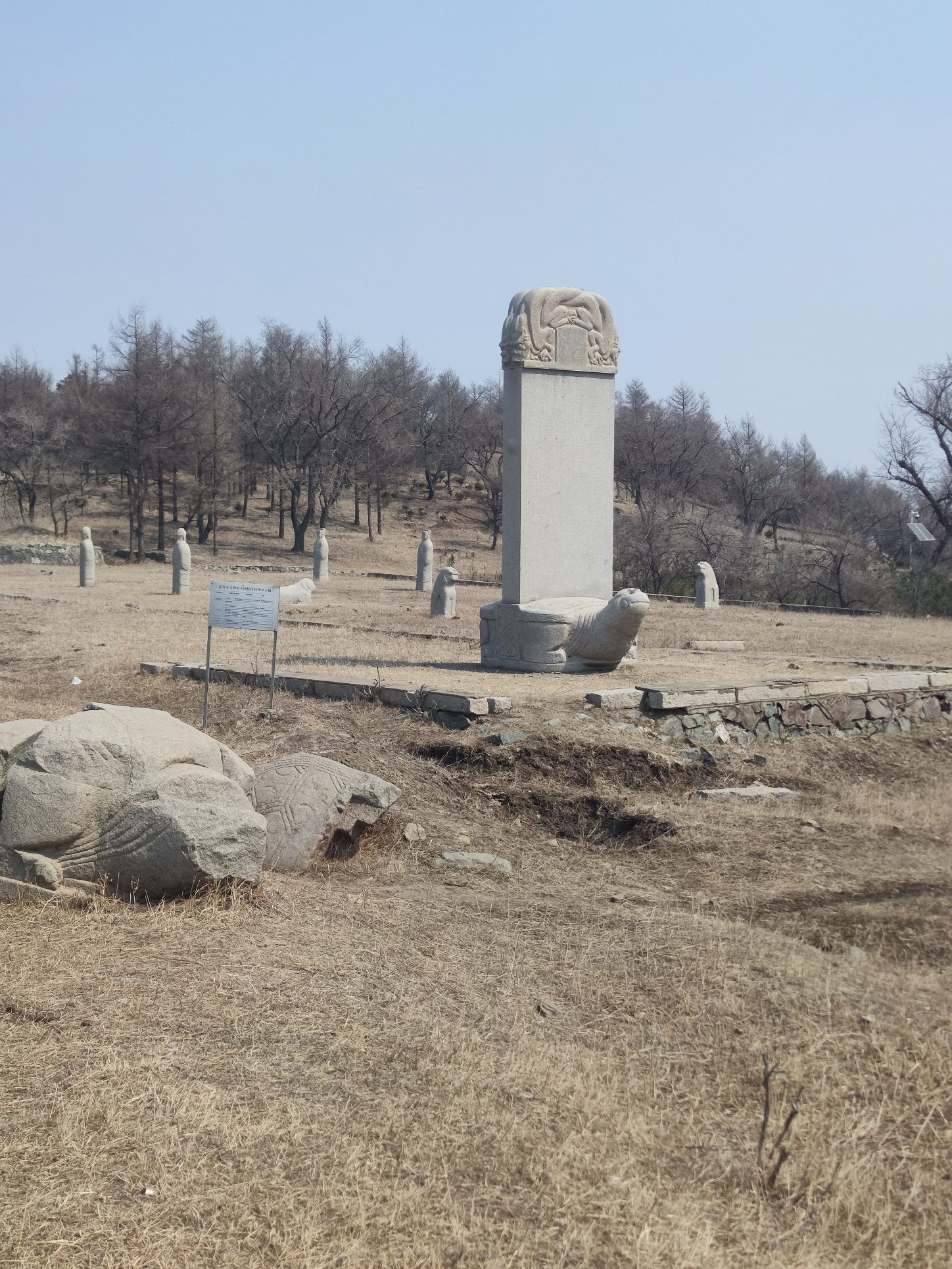 完颜娄室墓旅行图片 2