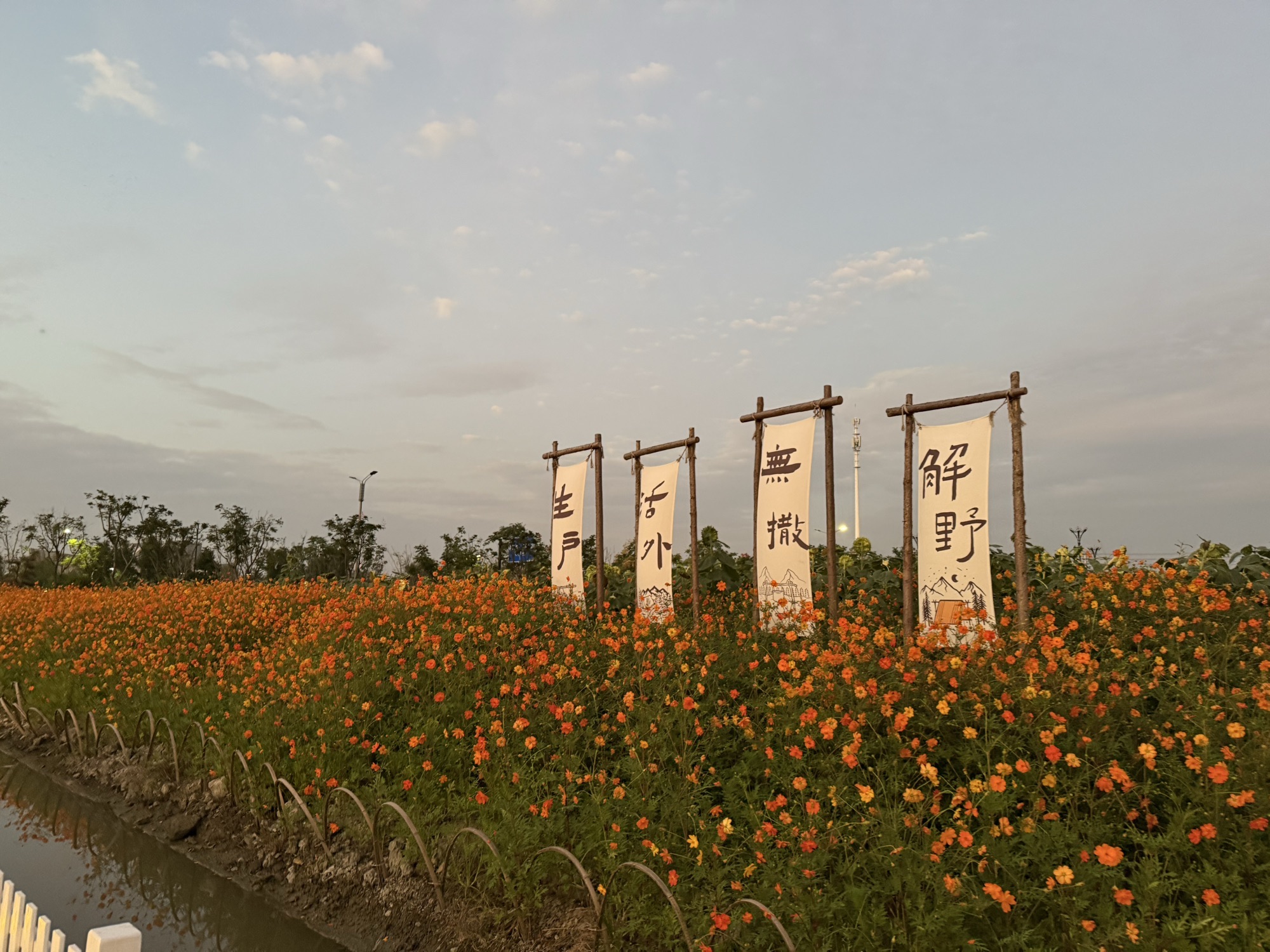市民公园旅行图片 1
