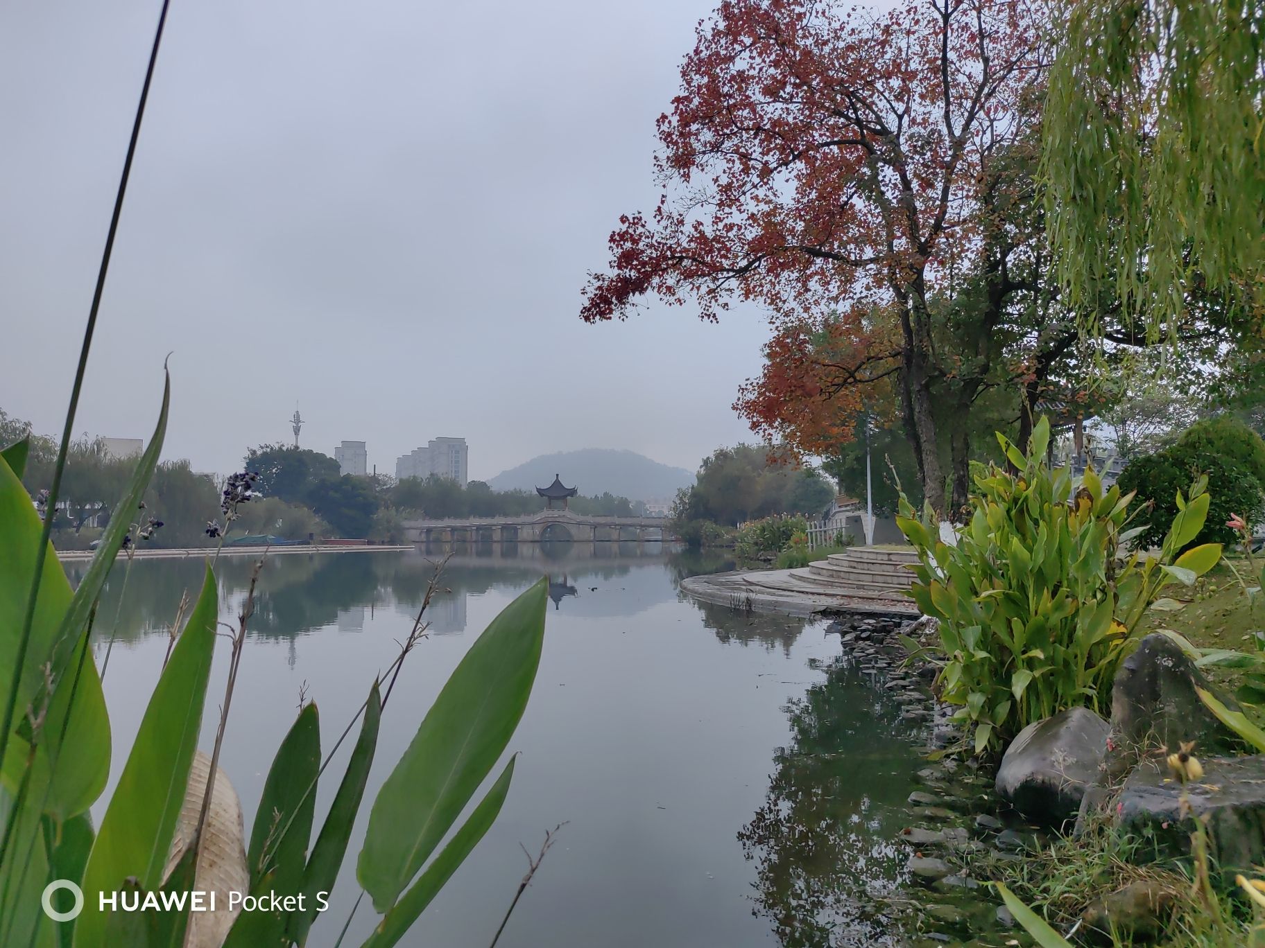 市民公园旅行图片 3