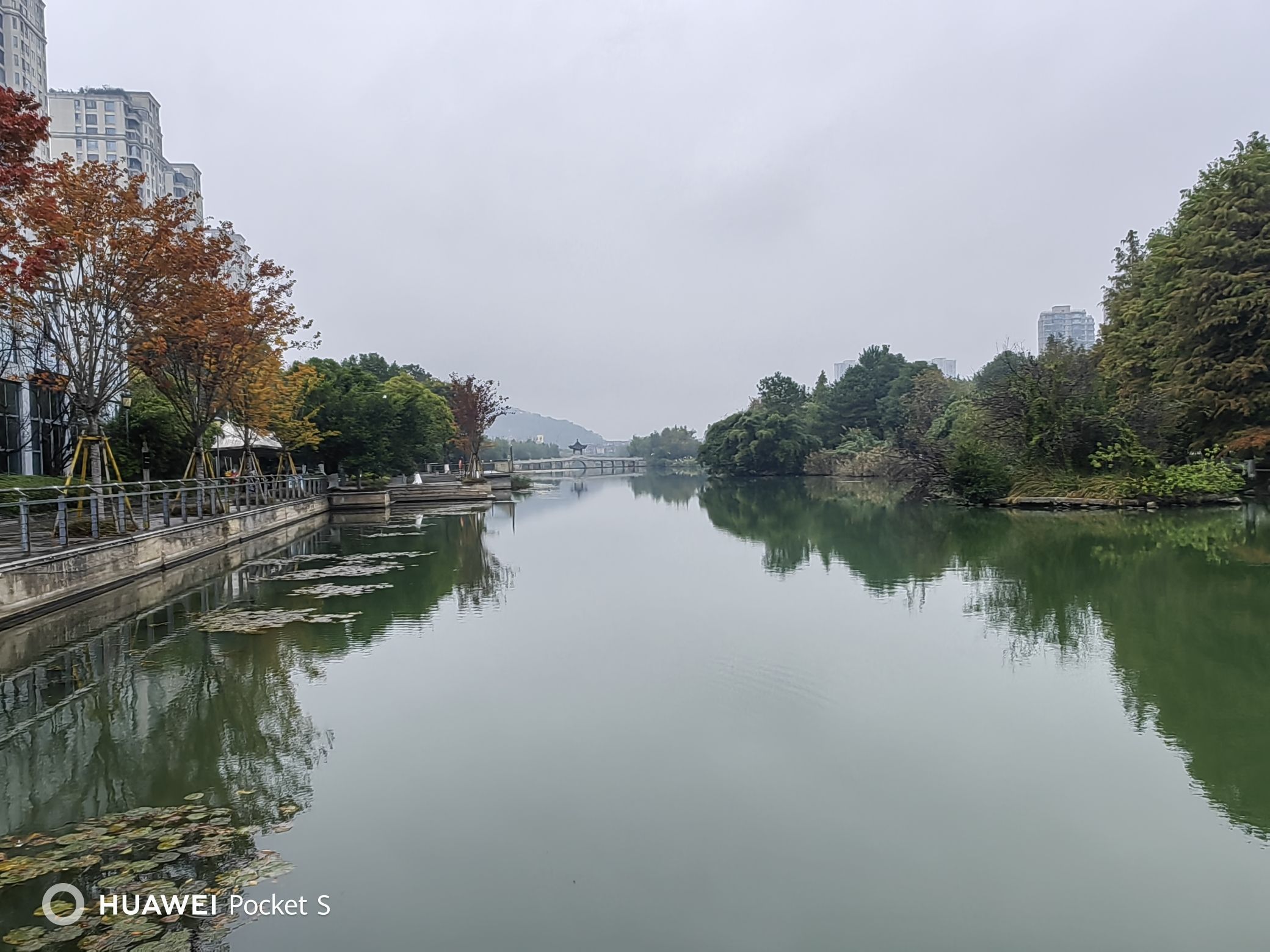 市民公园旅行图片 1