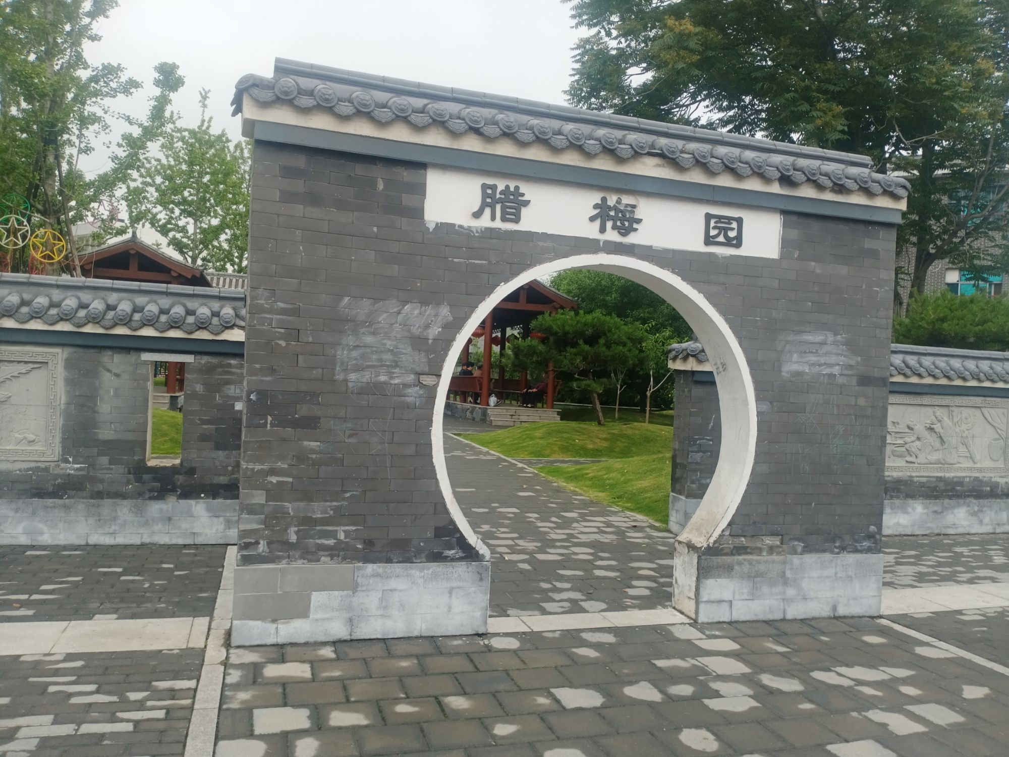 腊梅园旅行图片 2
