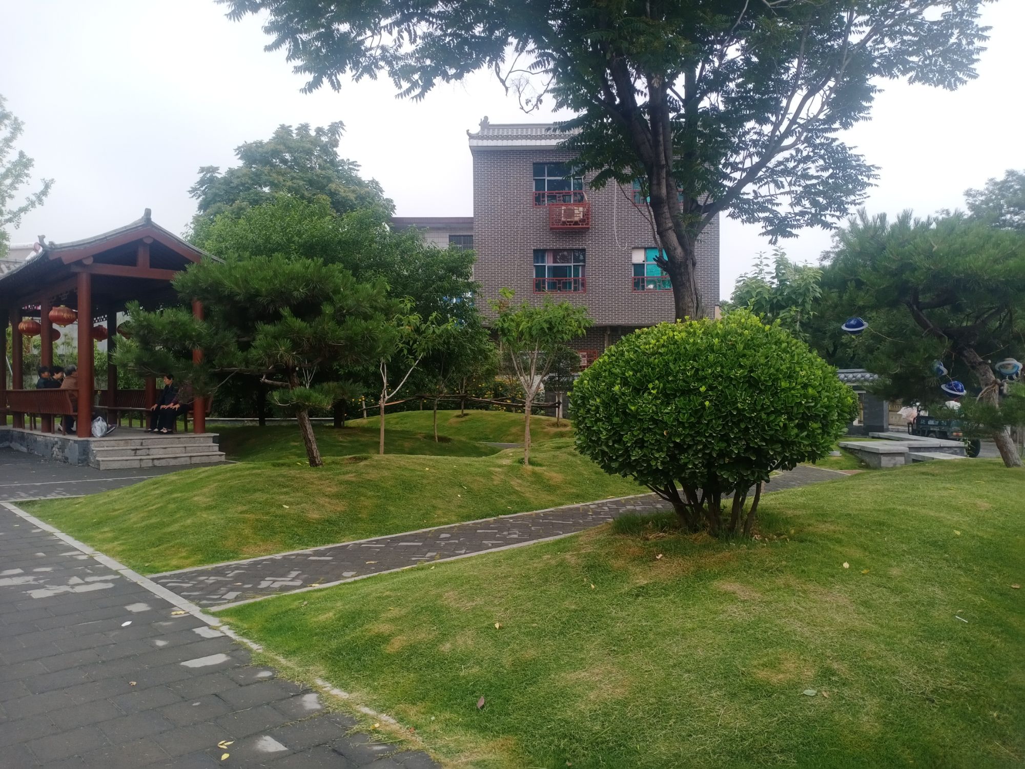 腊梅园旅行图片 3