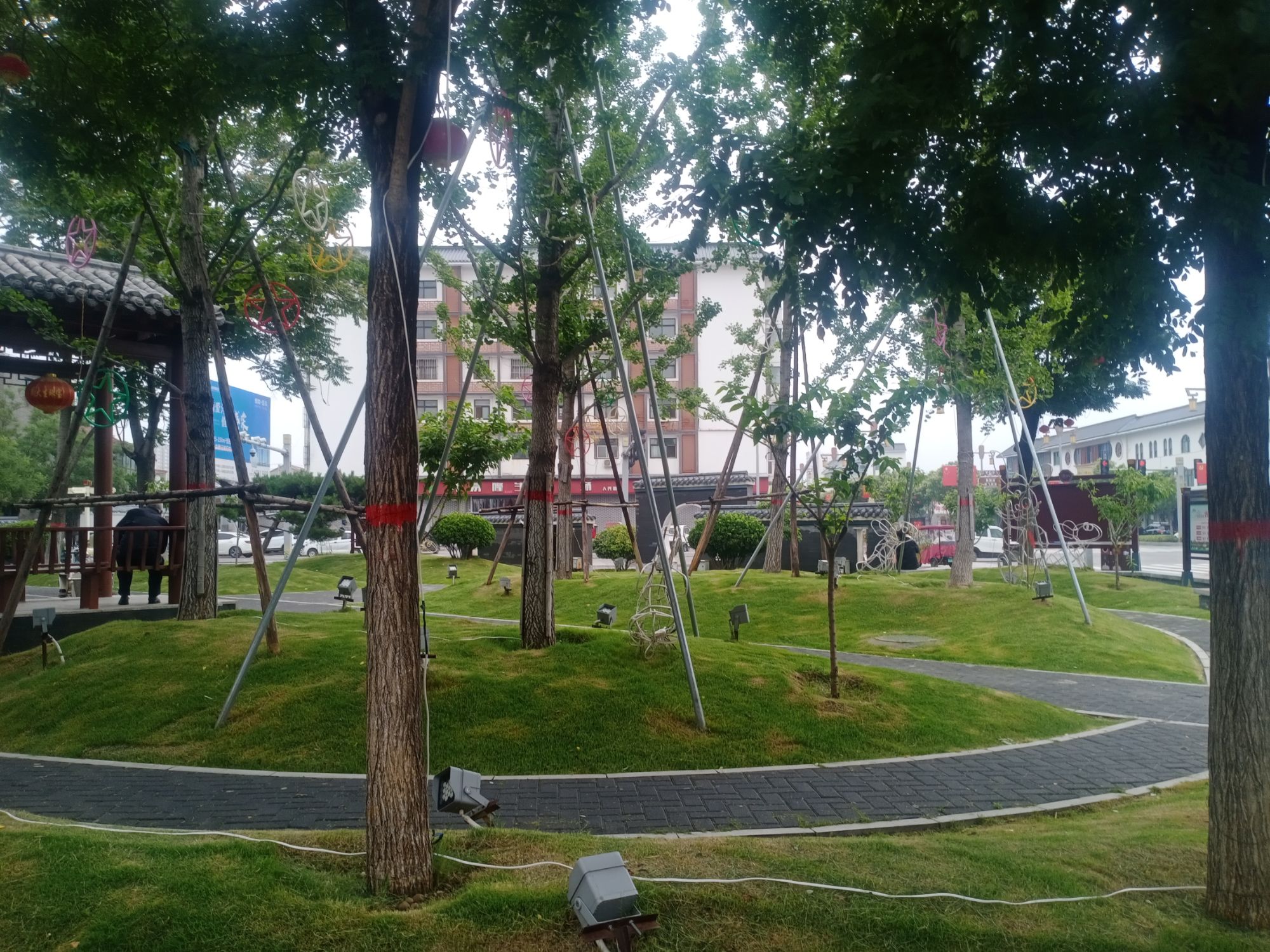 腊梅园旅行图片 1