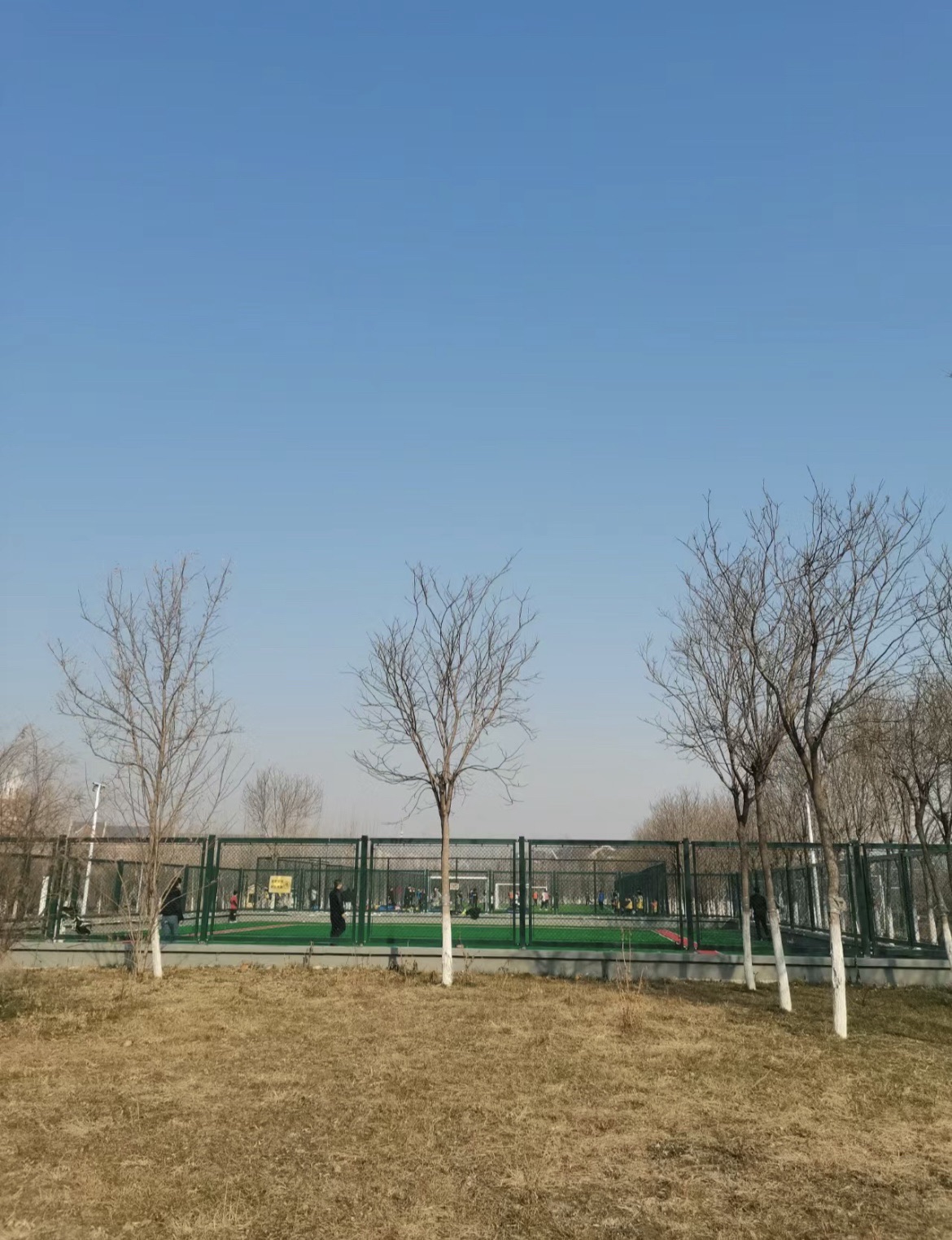海河教育园区体育公园旅行图片 3