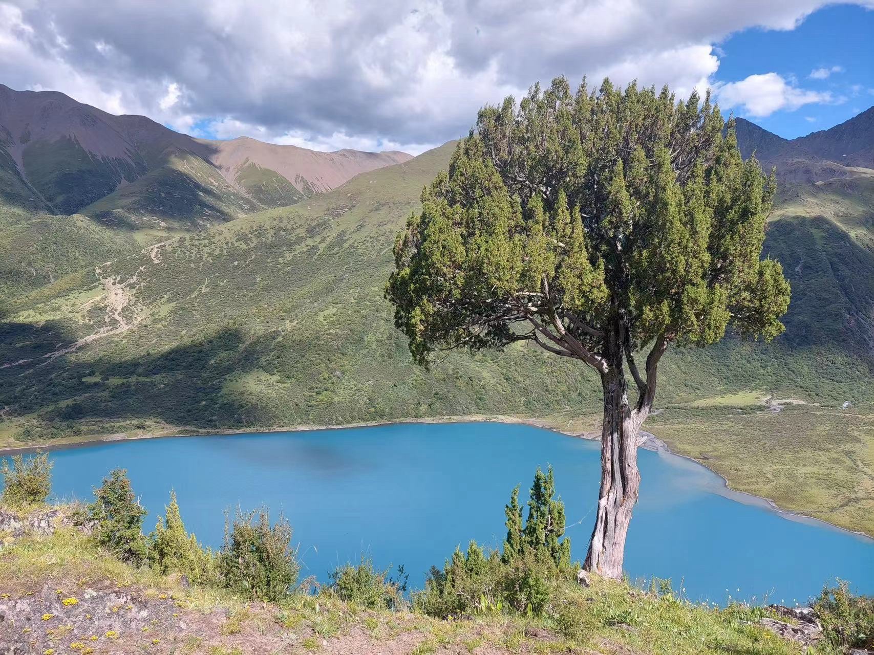 马尼仁措湖景区旅行图片 1