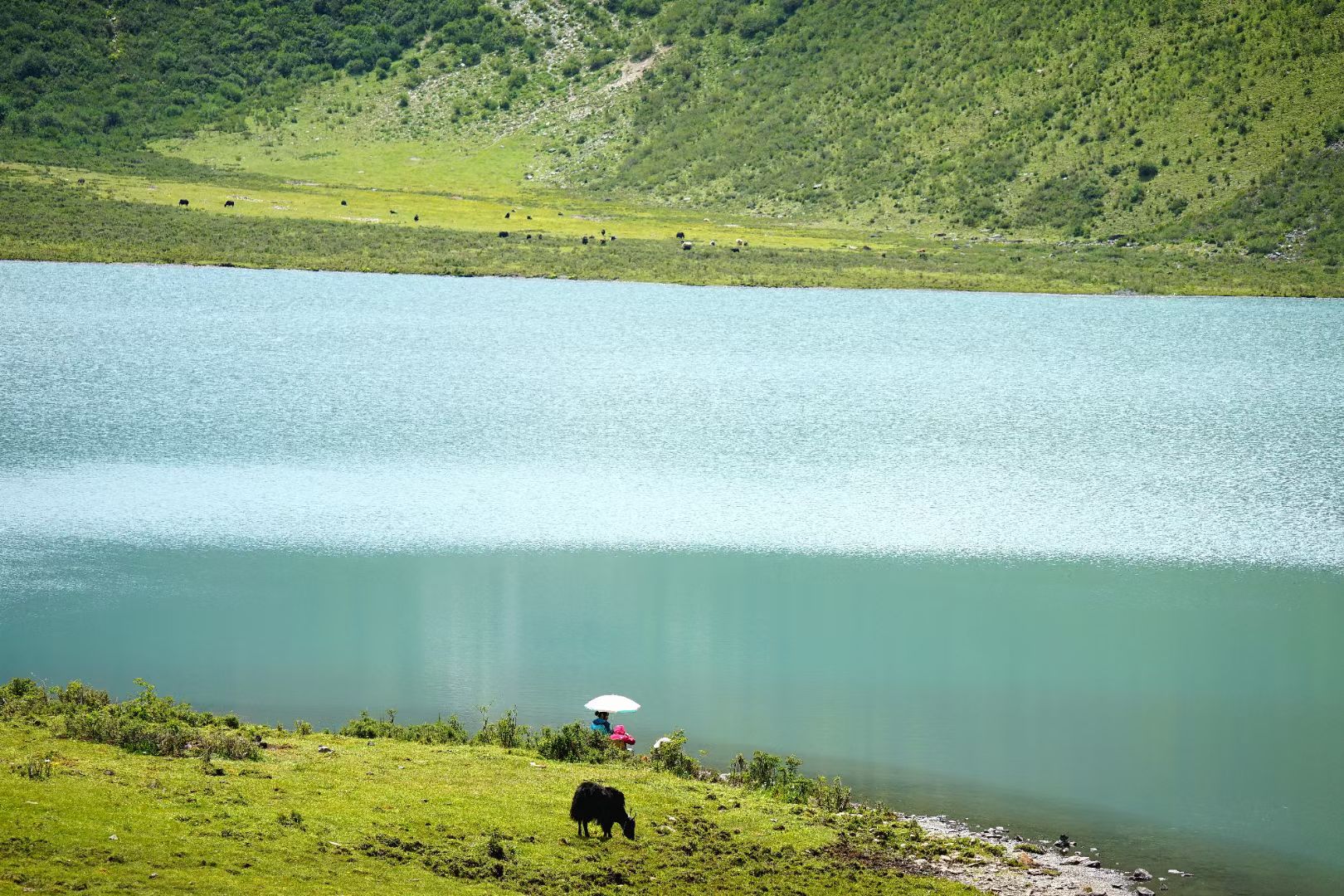 马尼仁措湖景区旅行图片 2