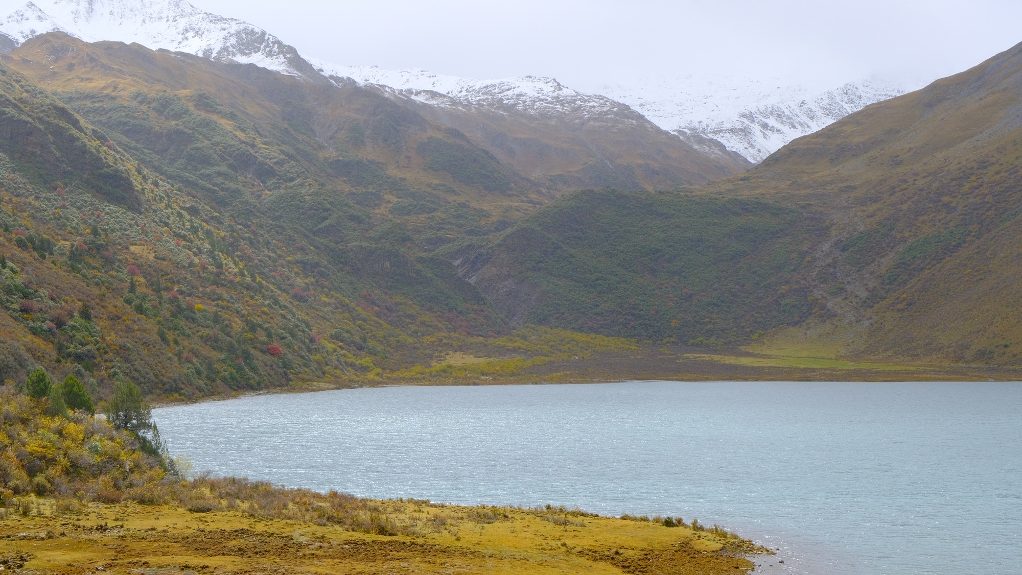 马尼仁措湖景区旅行图片 1