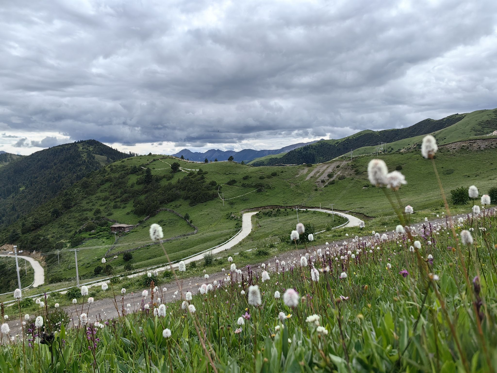 野花岭景区