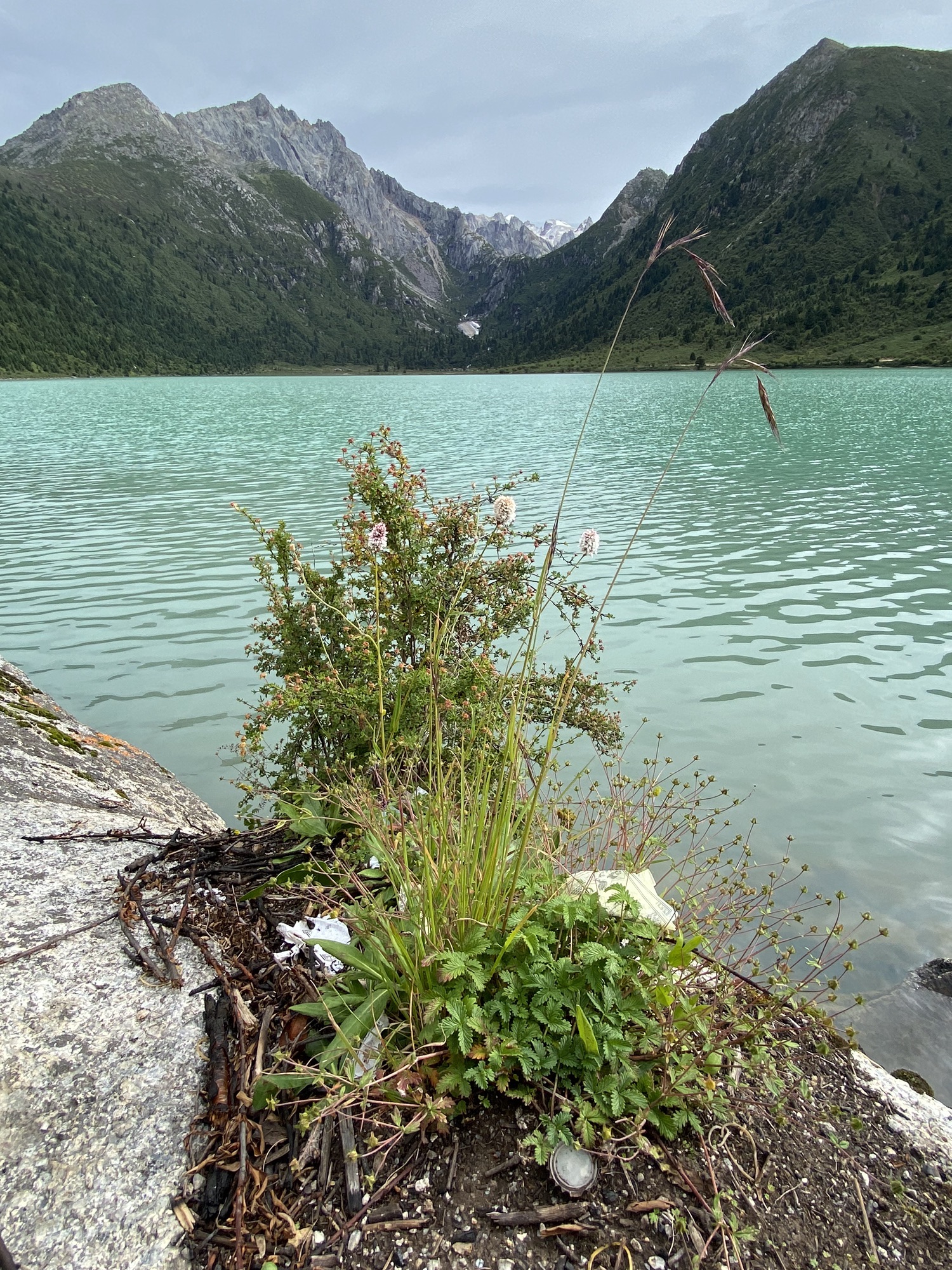 竹庆当真措旅行图片 1