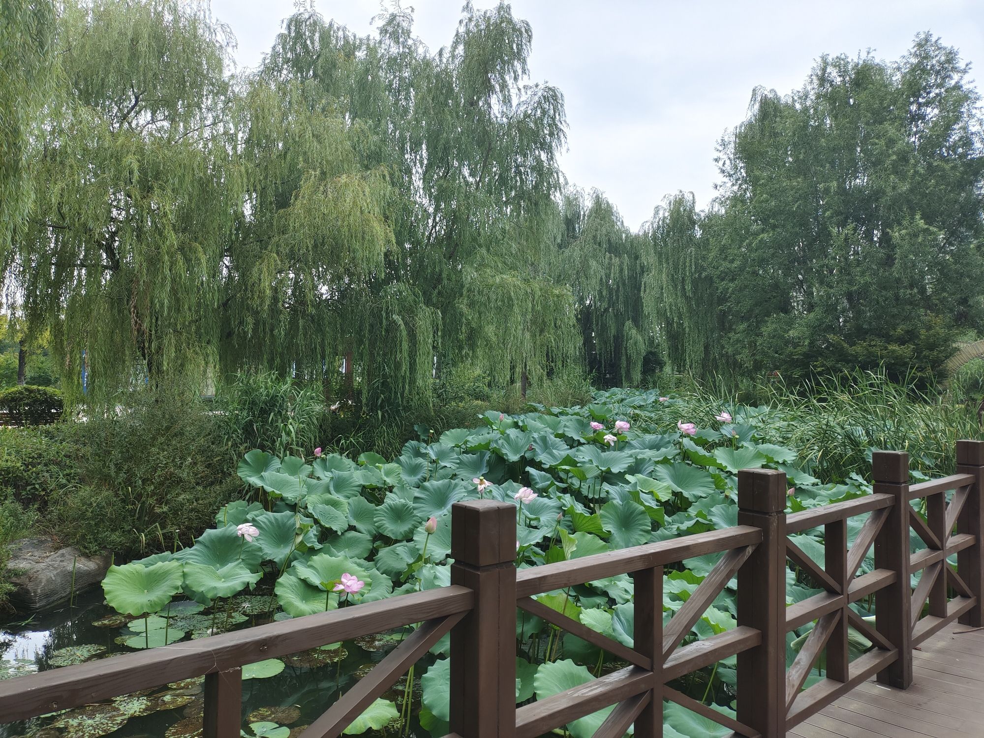 龙潭公园旅行图片 2