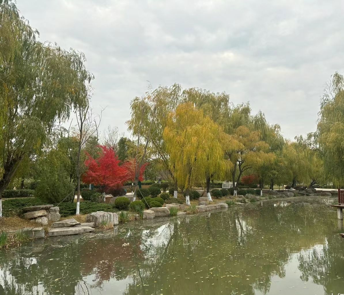龙潭公园旅行图片 2