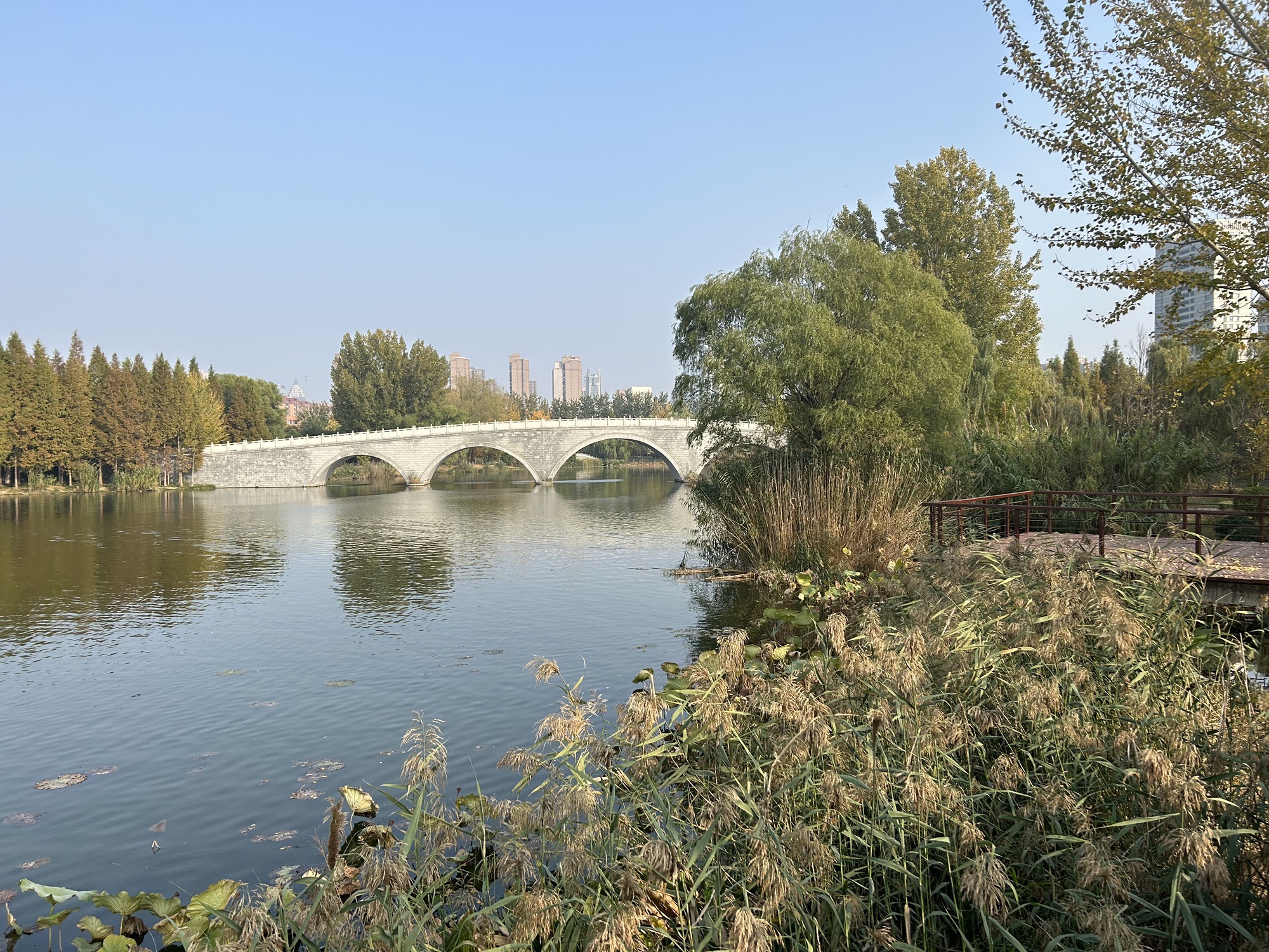 龙潭公园旅行图片 2