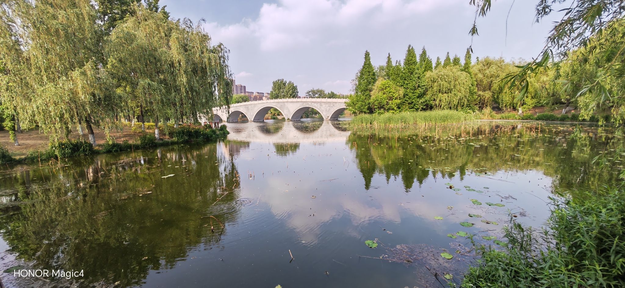 龙潭公园旅行图片 1