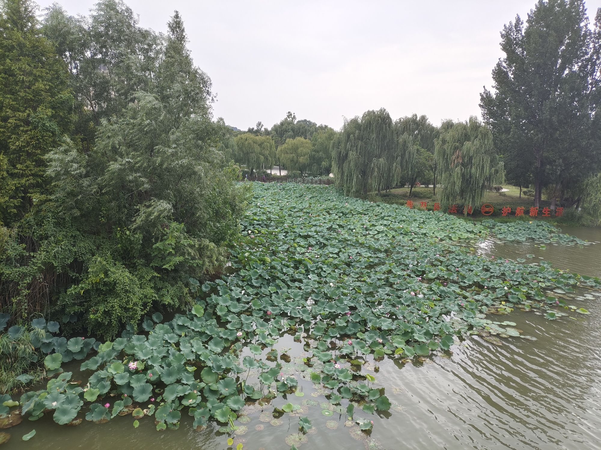 龙潭公园旅行图片 3