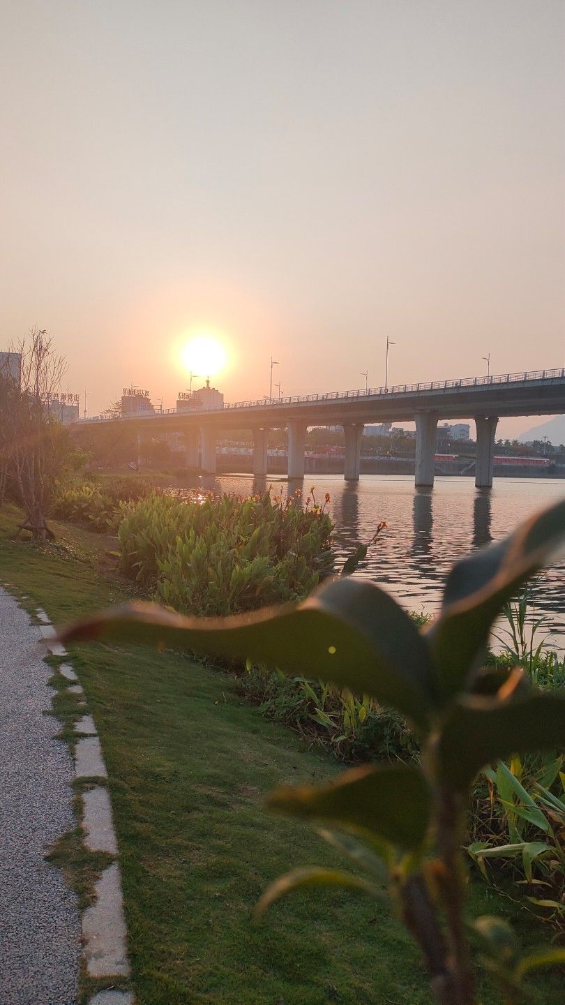 龙江岁月旅行图片 1