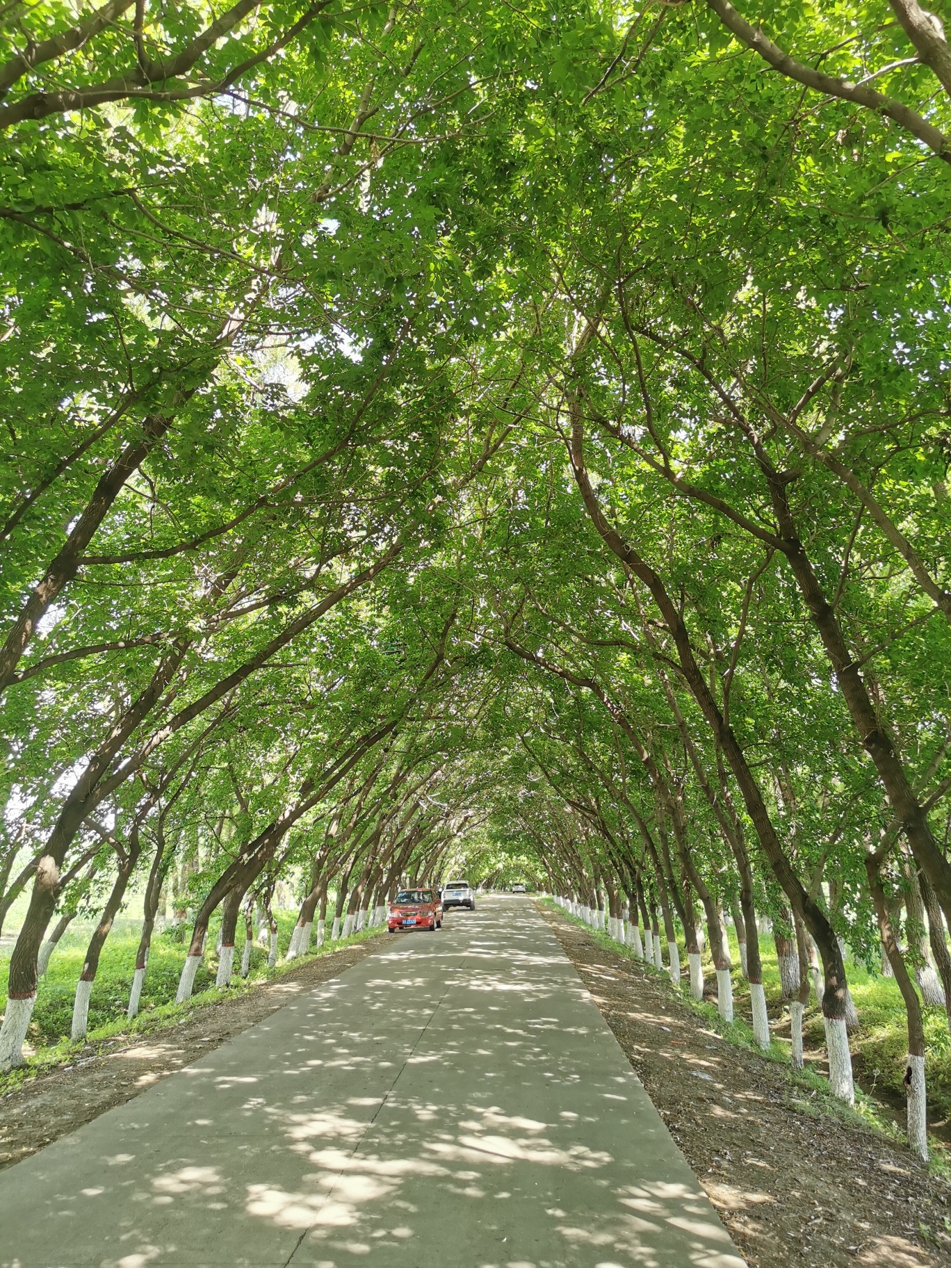 生态公园旅行图片 3