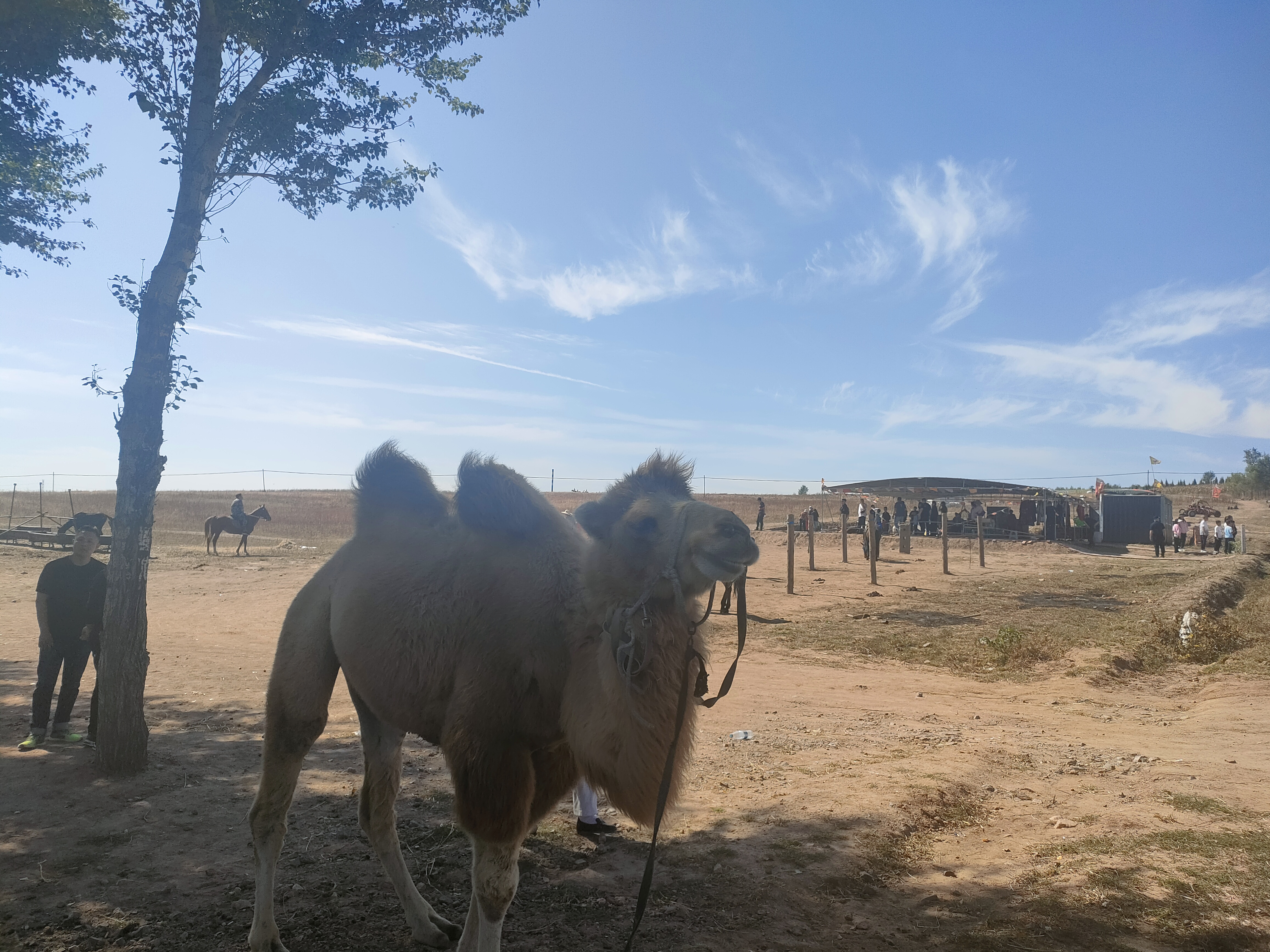 时轮金刚塔(前广场)旅行图片 3