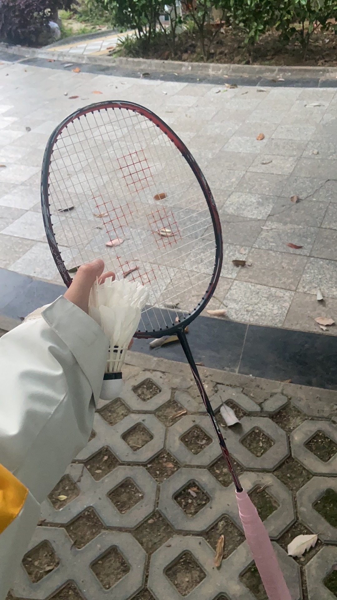 腾飞体育(仁和春天店)